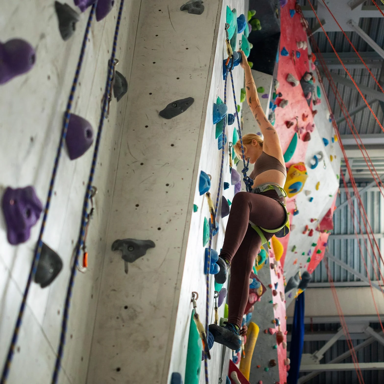 ALPIDEX 35 Presas Escalada | Incluye Tornillos, Tuercas |Tamaños L, M, S | Juego Iniciación | Zona Escalada 3-5 m² | Juego Completo | Piedras Escalada