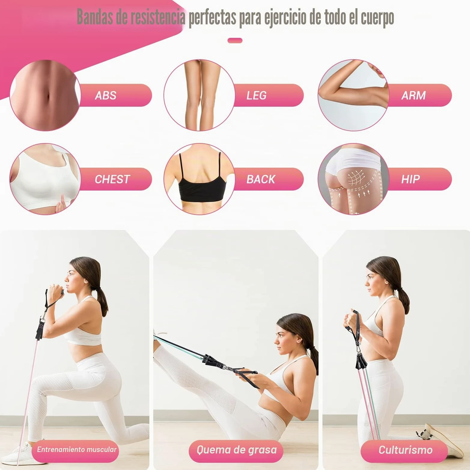 Cintas Elasticas Musculacion, 5 Resistance Bands, Gomas Elasticas Musculacion con Manijas Grandea, Tobillo, Póster de Entrenamiento, Bands