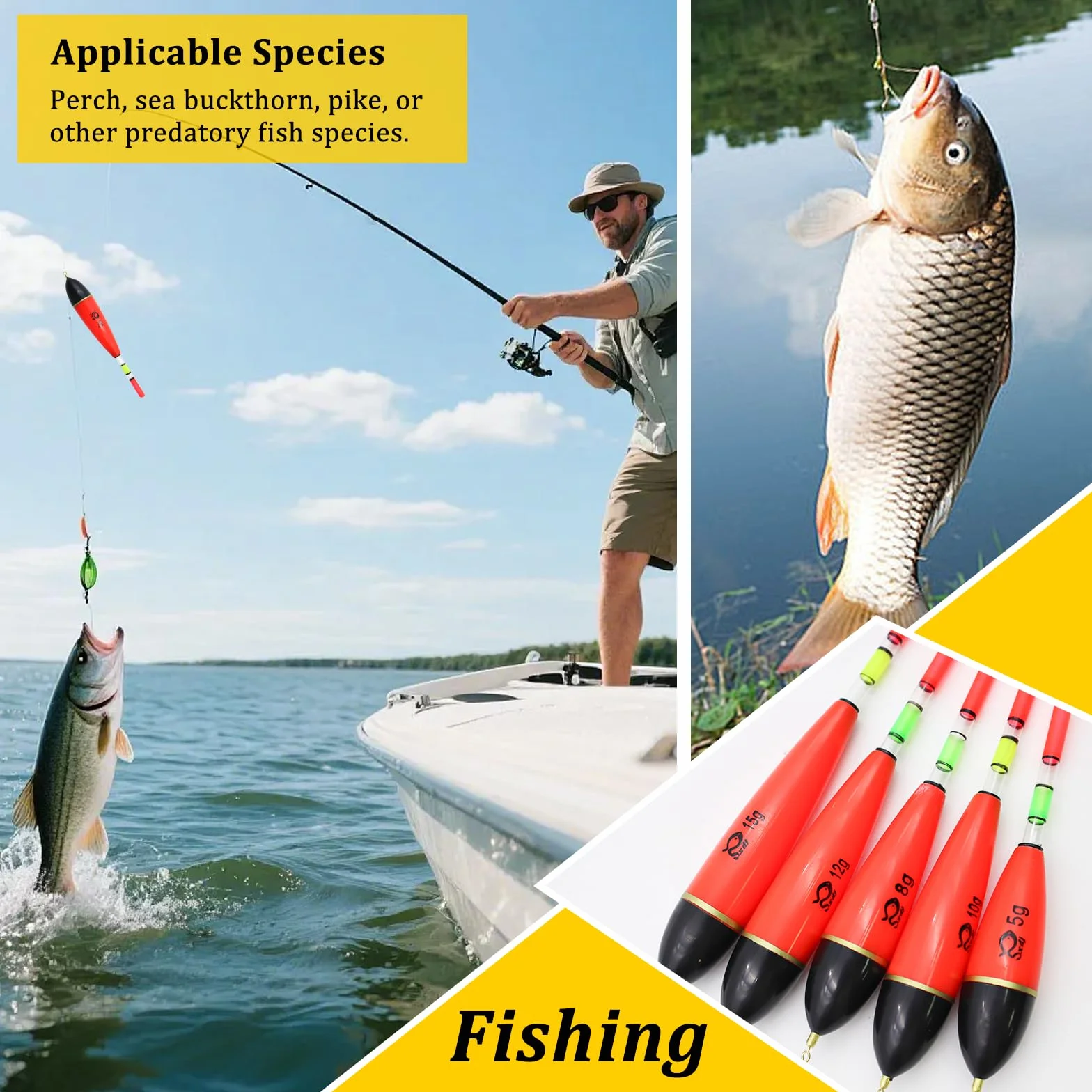 OMJMYY 5 Unidades de flotadores de Pesca Luminosos 5 g/8 g/10 g/12 g/15 g portátil Pesca flotadores Accesorios de Pesca Set de Espuma EVA para Lucio Perca Carpa Diferentes Especies de Peces Grandes