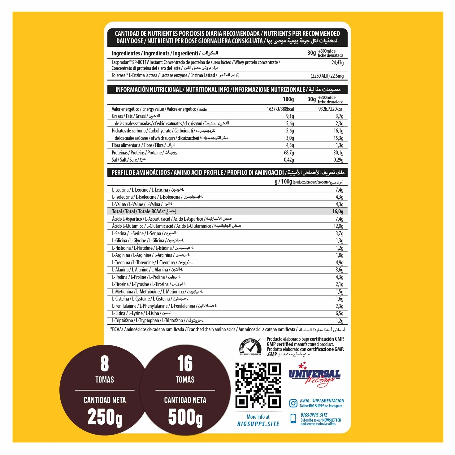 BIG Whey Protein 500g Cacaolat Sin Lactosa Sin Azúcar Proteina en Polvo