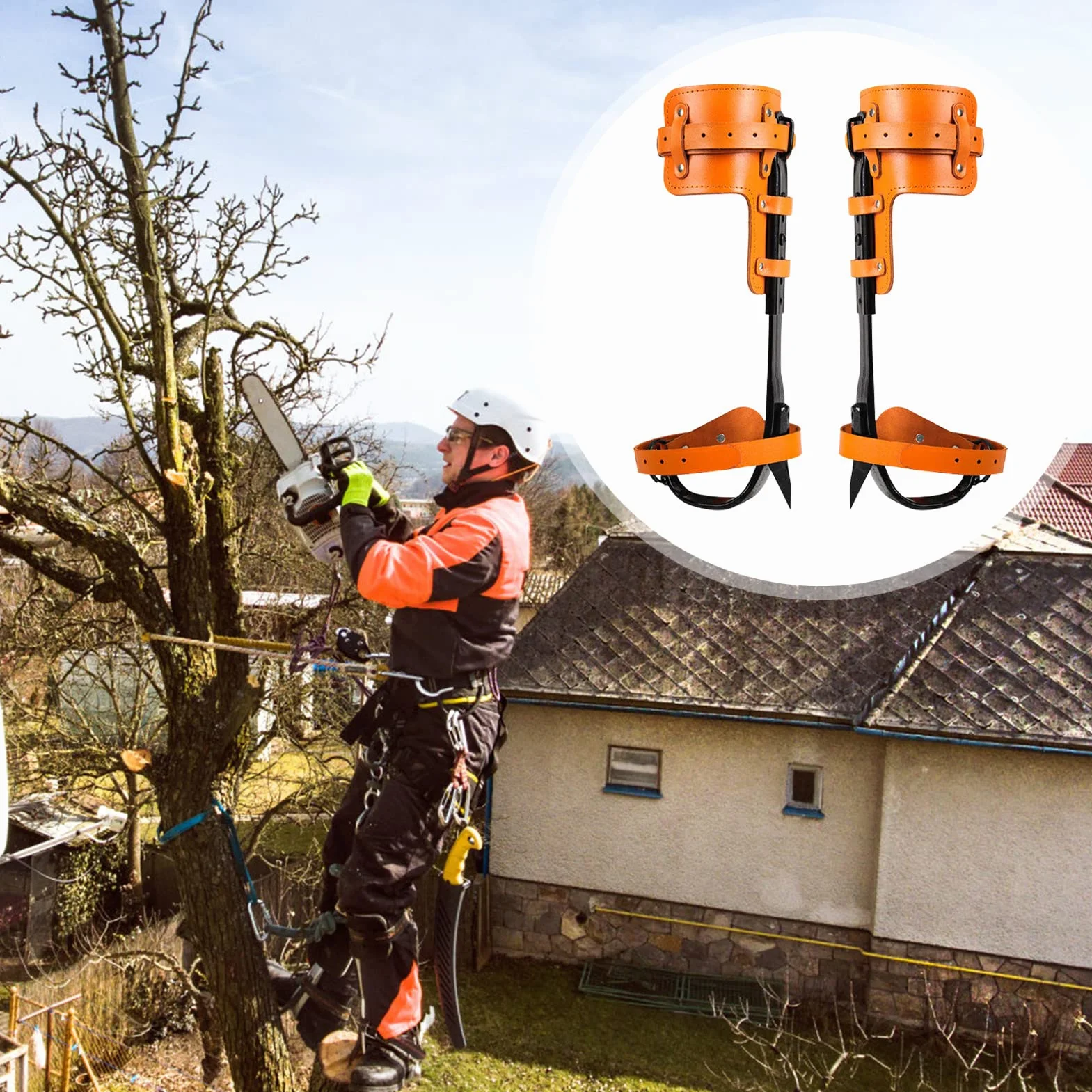 Estacas de escalada de árboles para trepadores – Espuelas de escalada de árboles de pie para tala, observación de caza, recolección de frutas – Herramienta de escalada de árboles integrada