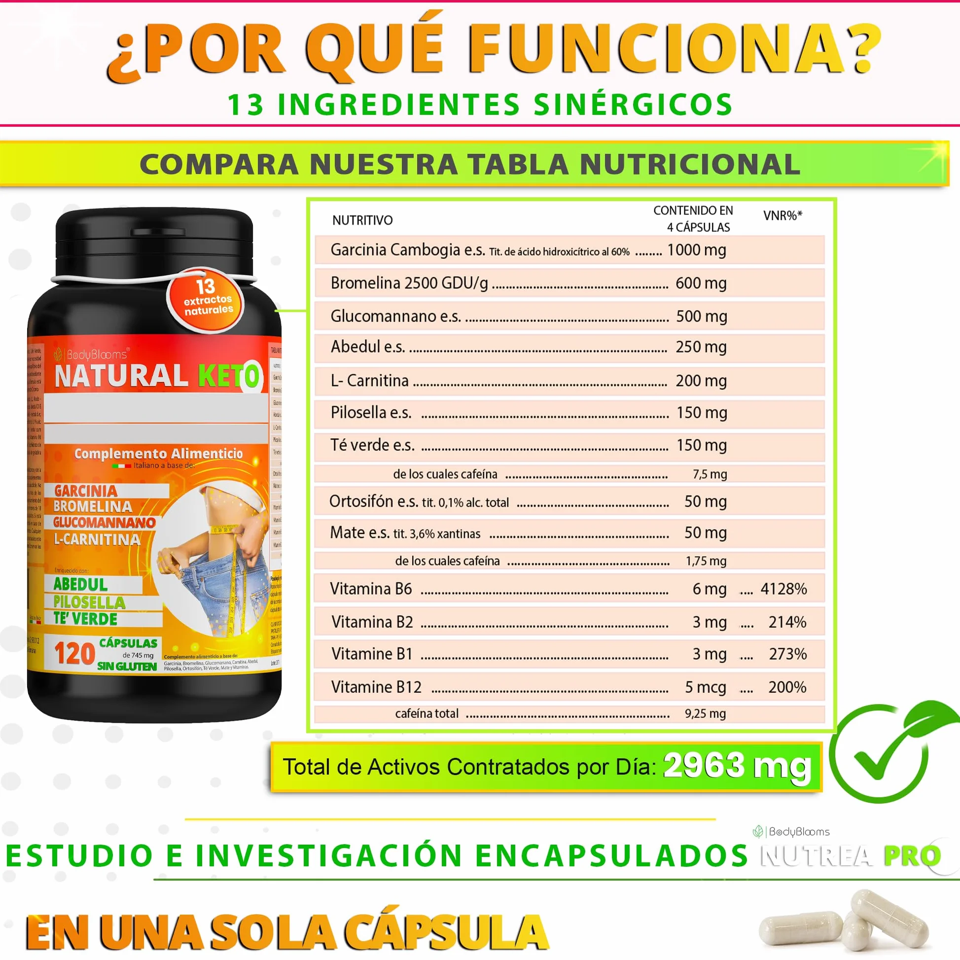 NUTREA PRO® Quemagrasas Potente 120 Pastillas con L-Carnitina, Garcinia Cambogia y 13 Plantas