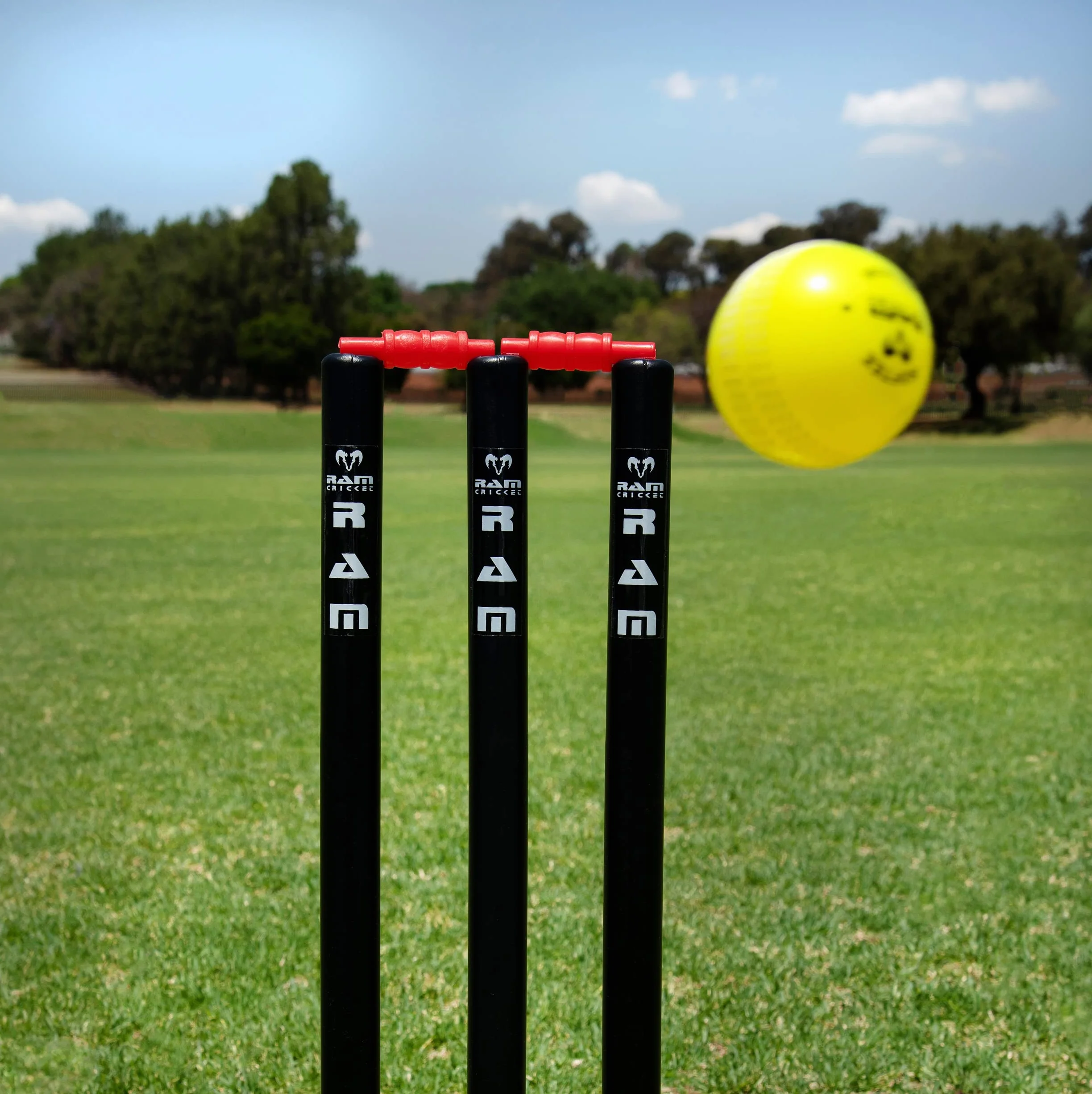 Ram Cricket Softee Pelota de Entrenamiento Amarillo 6 Unidades