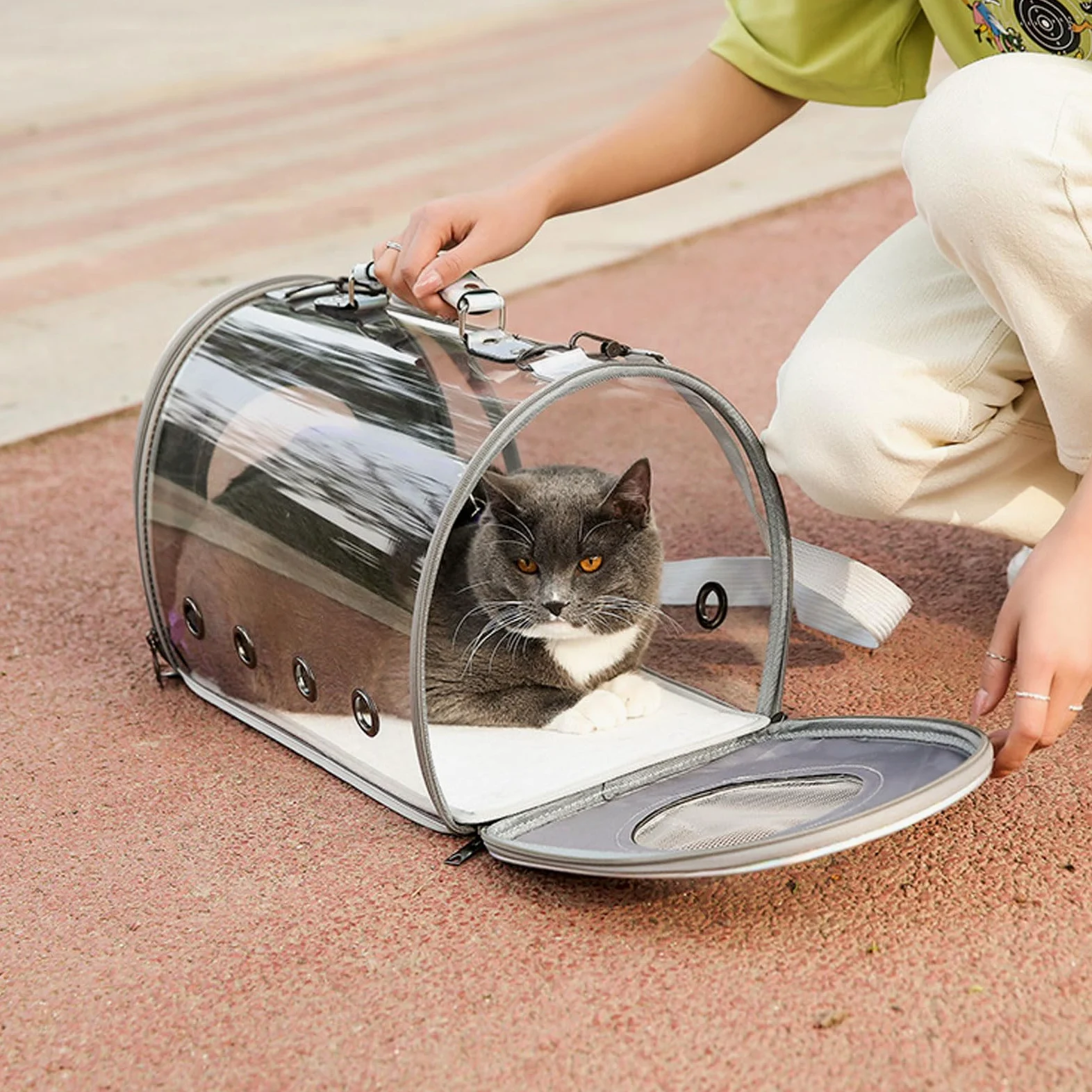 Transportín para Perros, Mochila for Gatos, Perros y Cachorros, Transparente, de PVC, Ideal for Viajes, Senderismo, Ciclismo Actividades al Aire Libre, Rosa, Grande