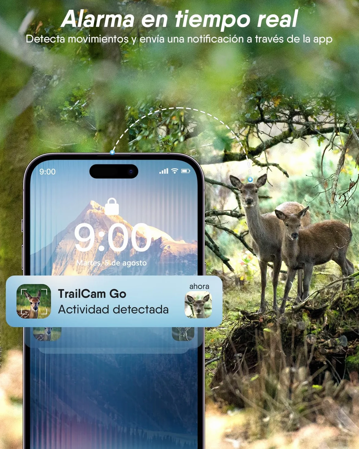 Cámara de Caza 4G Rollei, 4K Camara Fototrampeo con Tarjeta Sim y App y Sensor de Movimiento Cámara de Fotos Trampeo Caza Infrarroja con Visión Nocturna Tarjeta SD de 32GB IP66,Cámara-Caza-Fototrampeo