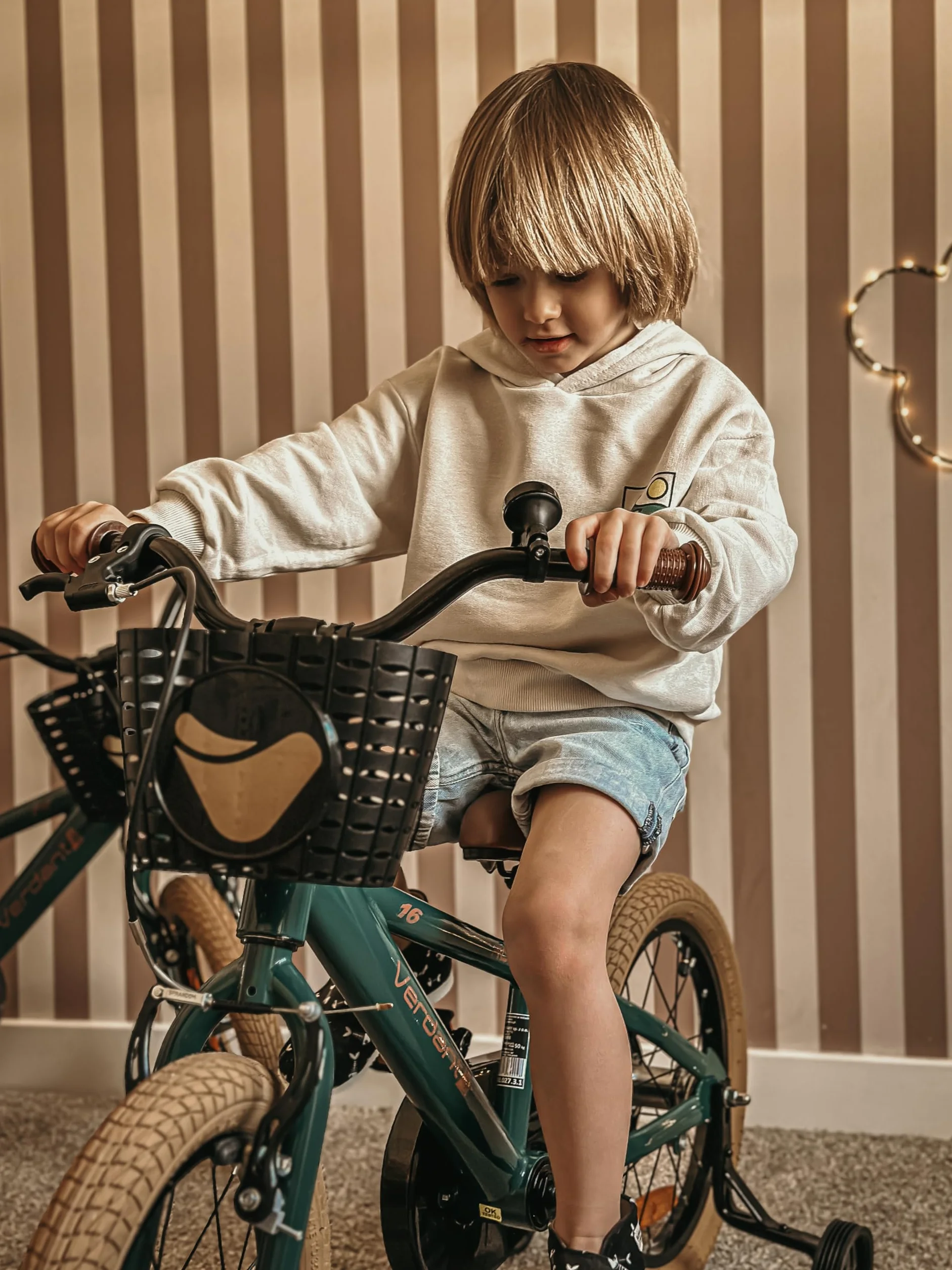 sun baby Verdant Bike Bicicleta Infantil de niño con Ruedas de Entrenamiento 12/14/16 Pulgadas, de niño 2-6 años, Manillar Ajustable y Timbre, V-Break y Freno de Torpedo