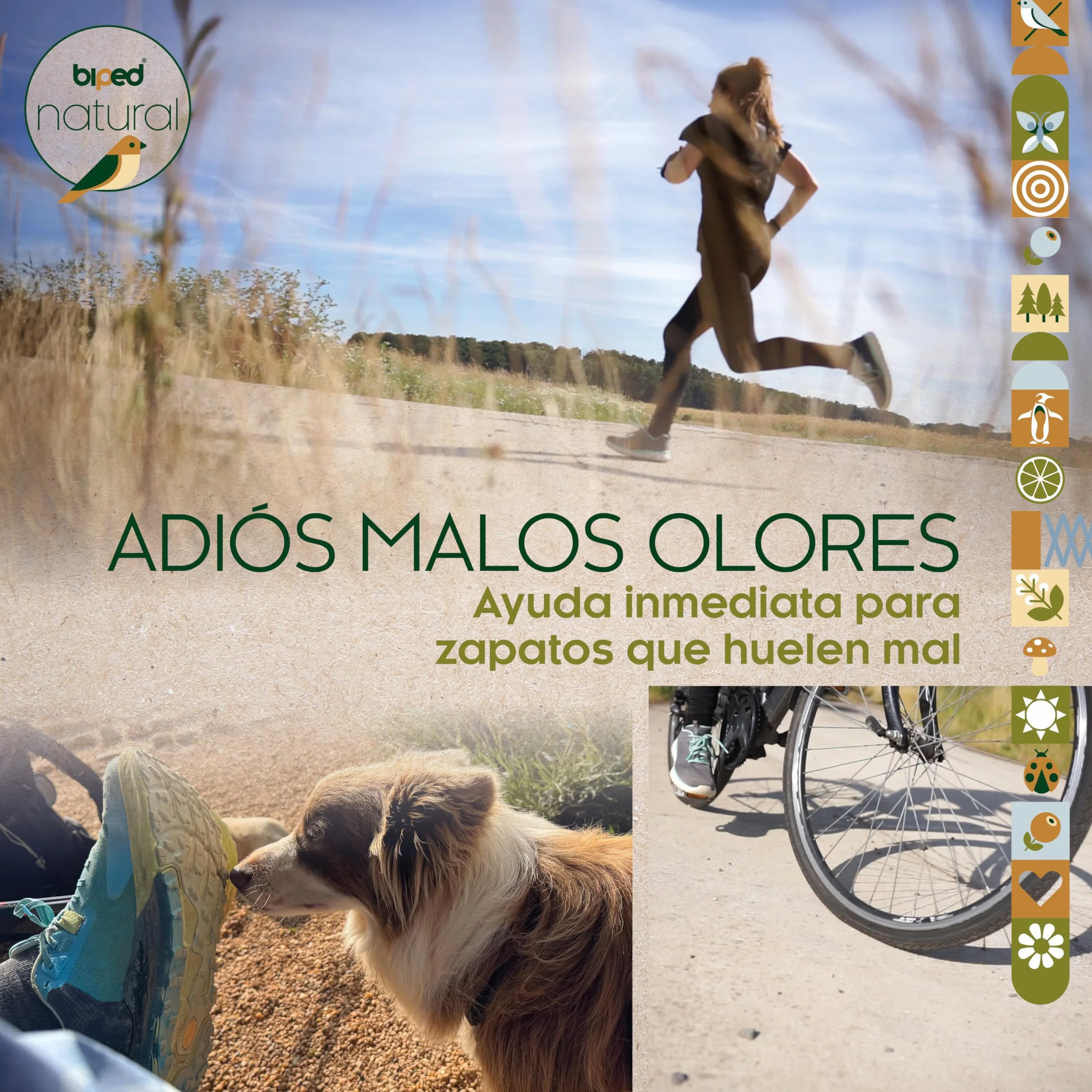 Secador de zapatos de madera de cedro natural – Elimina olores – Sin químicos – 1 par