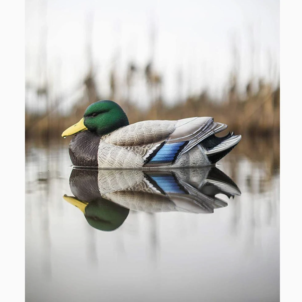 Wing Señuelos de pato para caza, señuelo de patos para estanque y campo, decoración vívida de jardín, ayuda para profesores, equipo de caza, paquete de 6