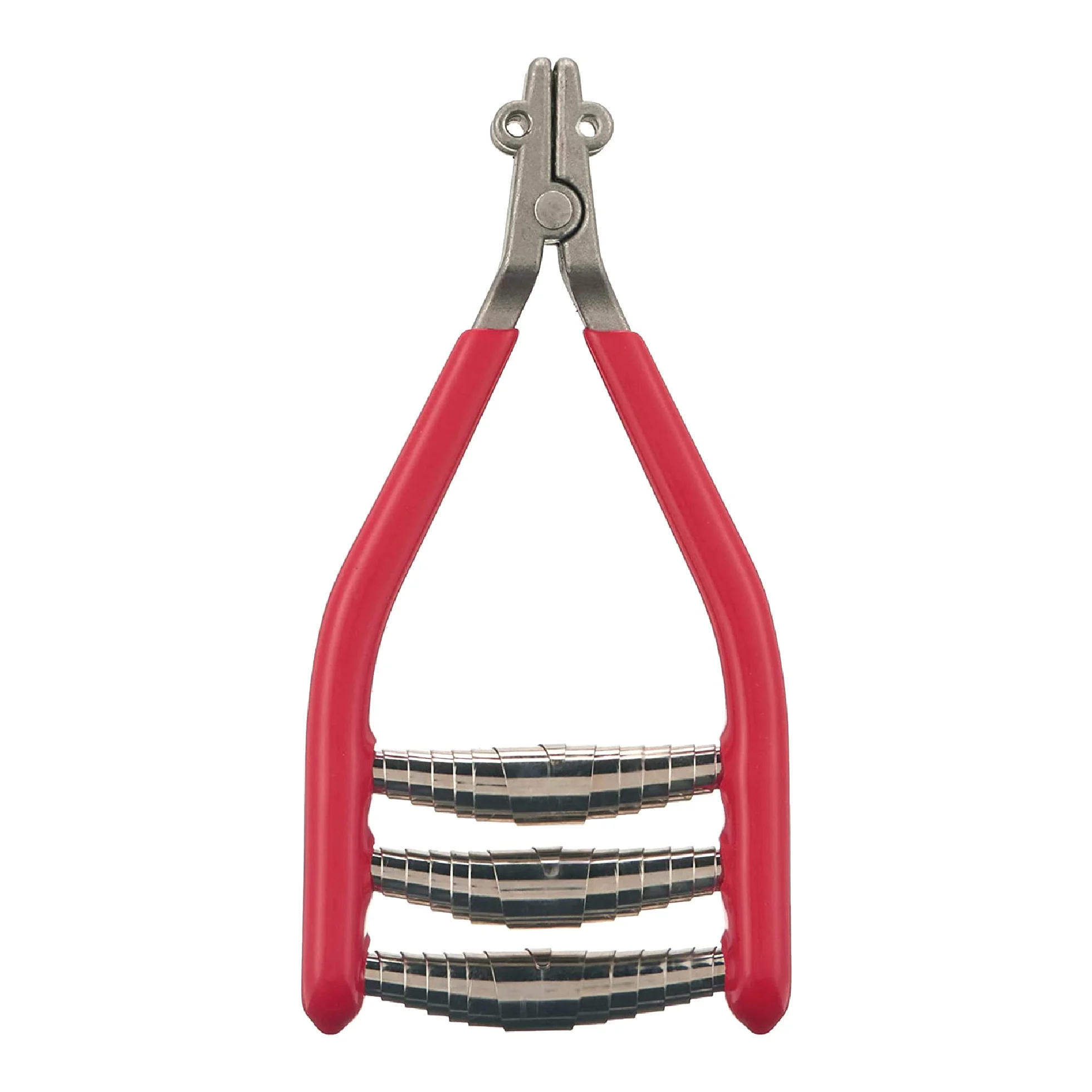 Gamma empezando Equipster, Rojo/Plata