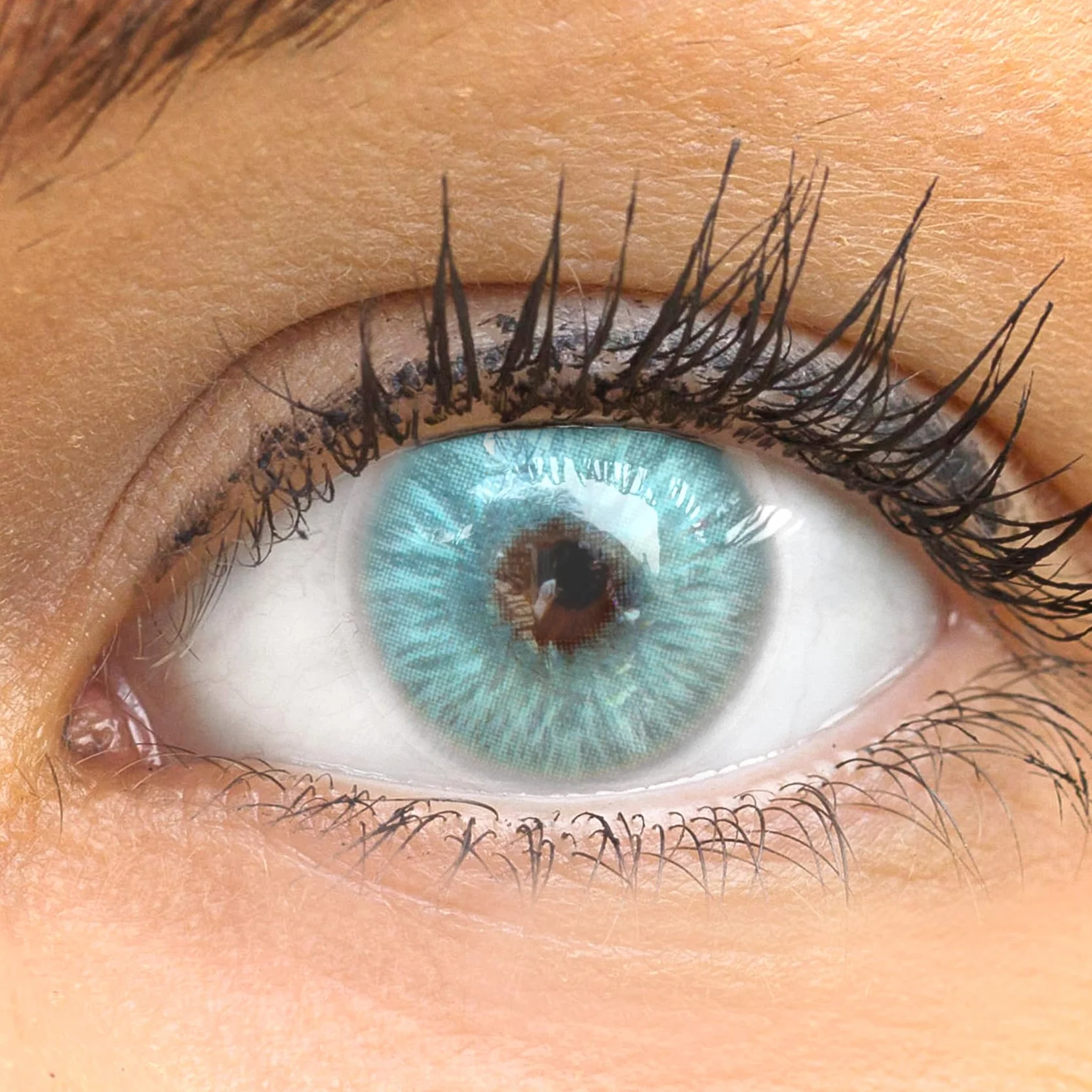 GLAMLENS lentillas de color bleu Catania Ice Blue 1 par 90 Días Sin Graduación 0.00 dioptrías blandos hidrogel de silicona