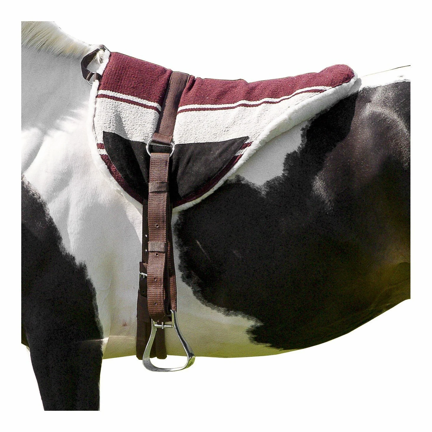 Norton Almohadilla de equitación Unisex para Adultos, Color marrón y Beige, N/A