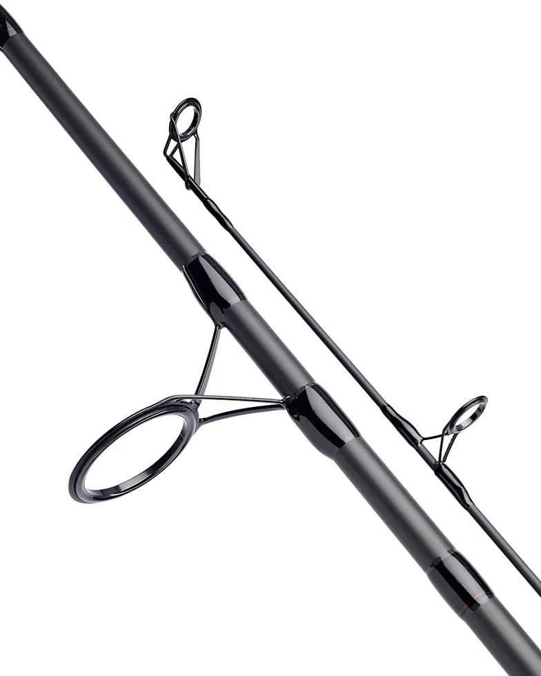 DAIWA Caña de pescar Black Widow XT Carp