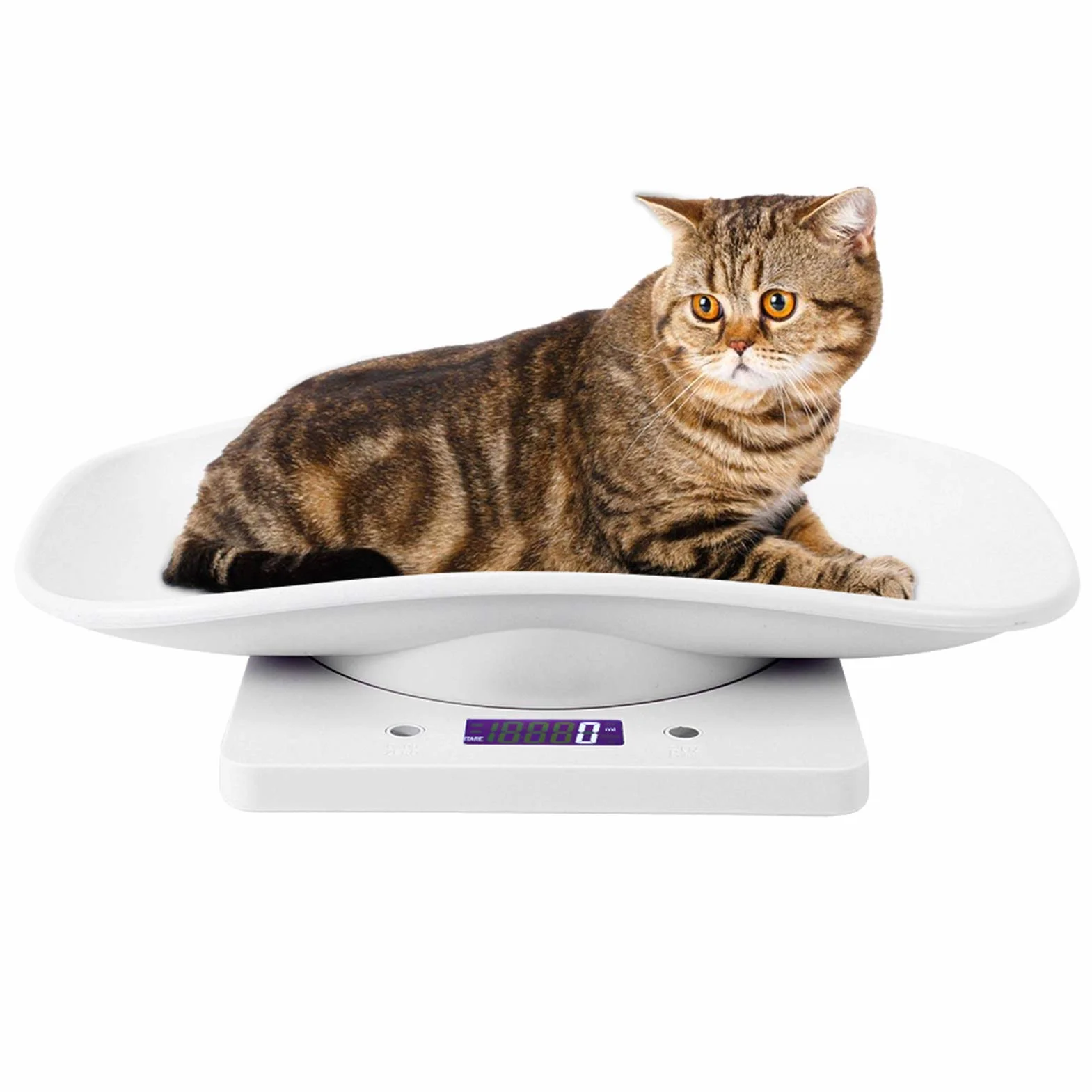 Báscula Digital para Mascotas Pequeñas 10 Kg/1g, Kit de Parto para Cachorros, Electrónica de Cocina
