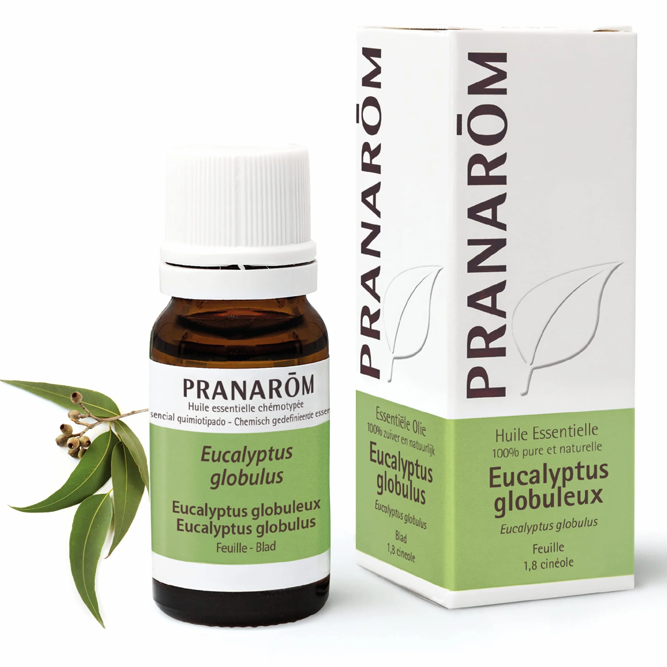 PRANAROM Aceite Esencial Eucalipto Globulus 10ml para Vías Respiratorias