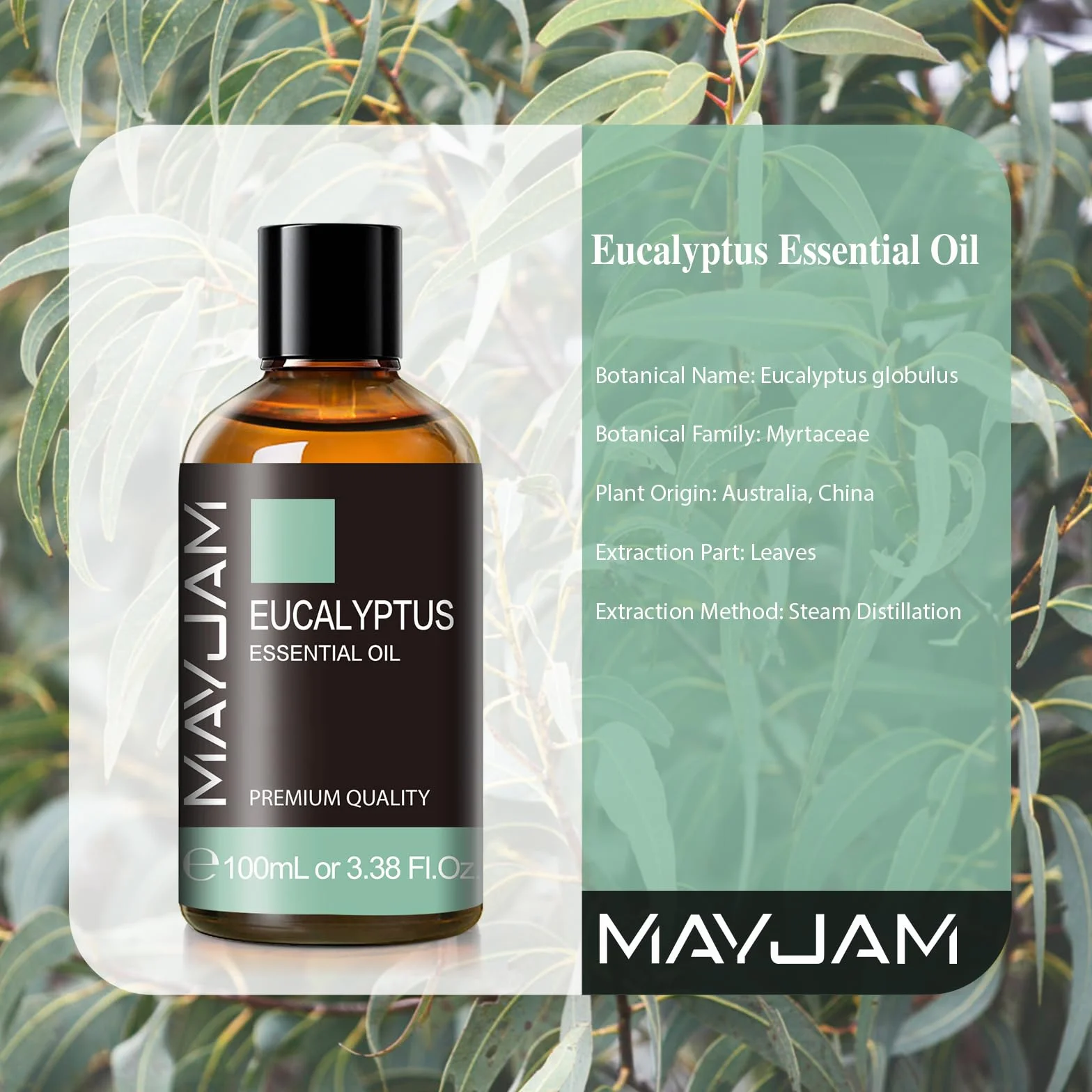 MAYJAM Aceite Esencial de Eucalipto 100ml para Difusor y Humidificador
