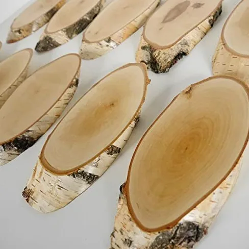 10 carteles de madera de abedul para trofeos con cornamenta, cornamenta, disco de árbol, cartel de madera natural, moderno con compartimento de pino