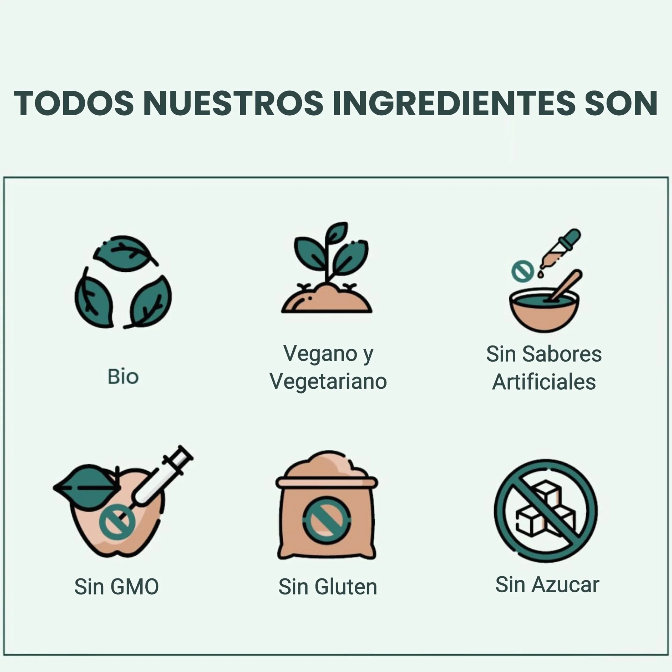 Samskara Superfoods Remolacha en Polvo Ecológica Certificado Orgánico BIO 1 kg