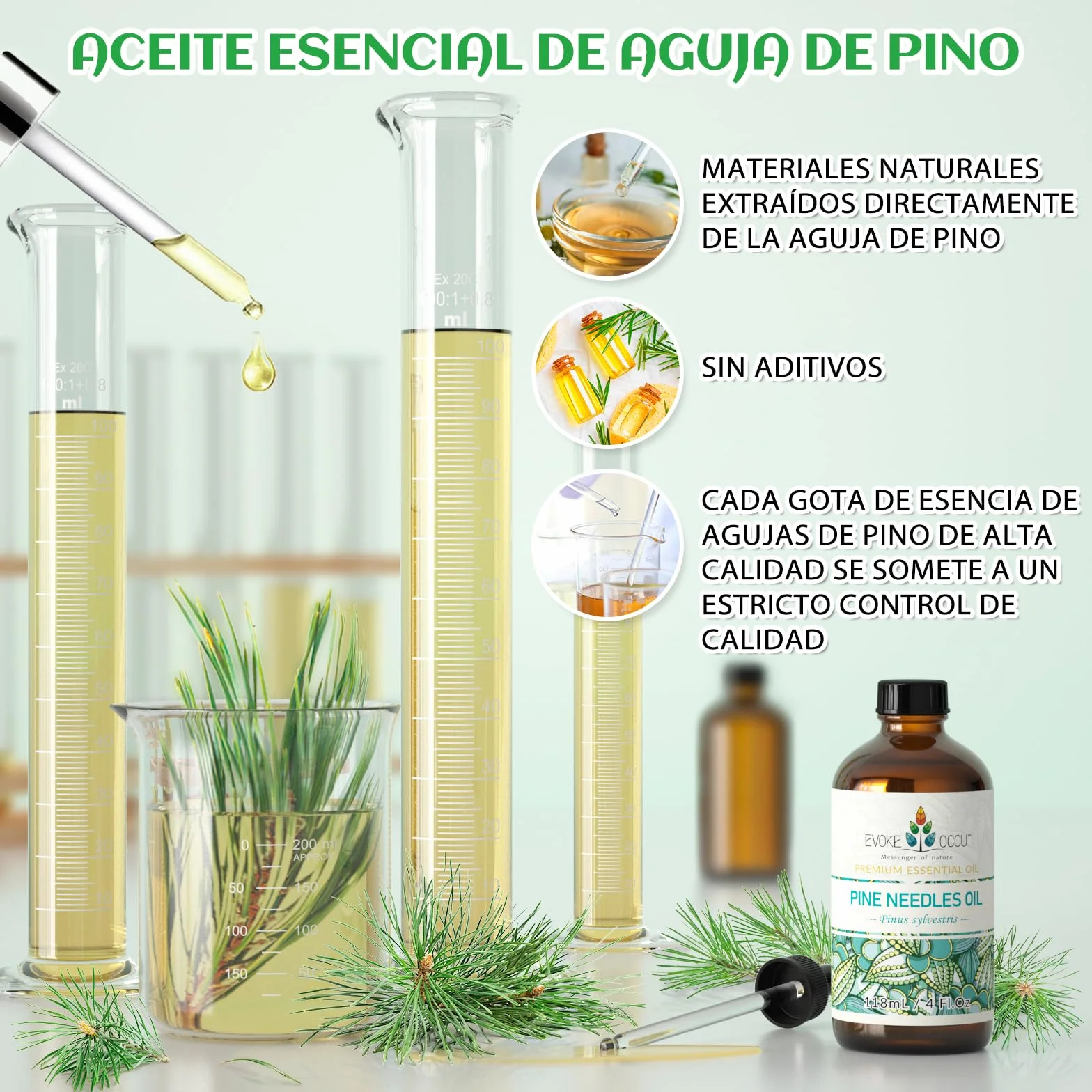 EVOKE OCCU Aceite Esencial de Aguja de Pino 4 Oz, Aceite Puro para Difusor Masaje y Fabricación de Jabón