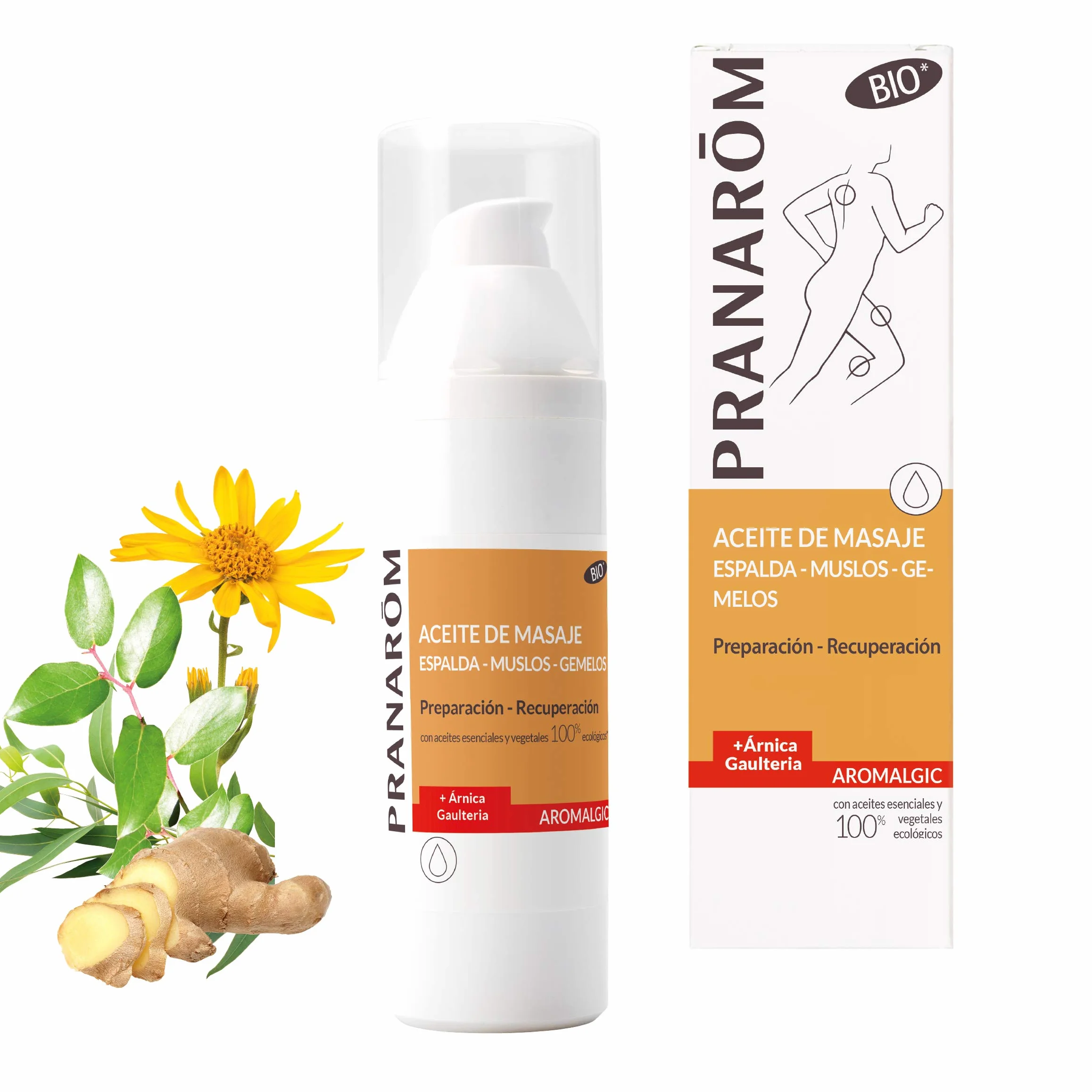Aromalgic Aceite de Masaje Árnica y Gaulteria 100ml Recuperación Articulaciones Músculos
