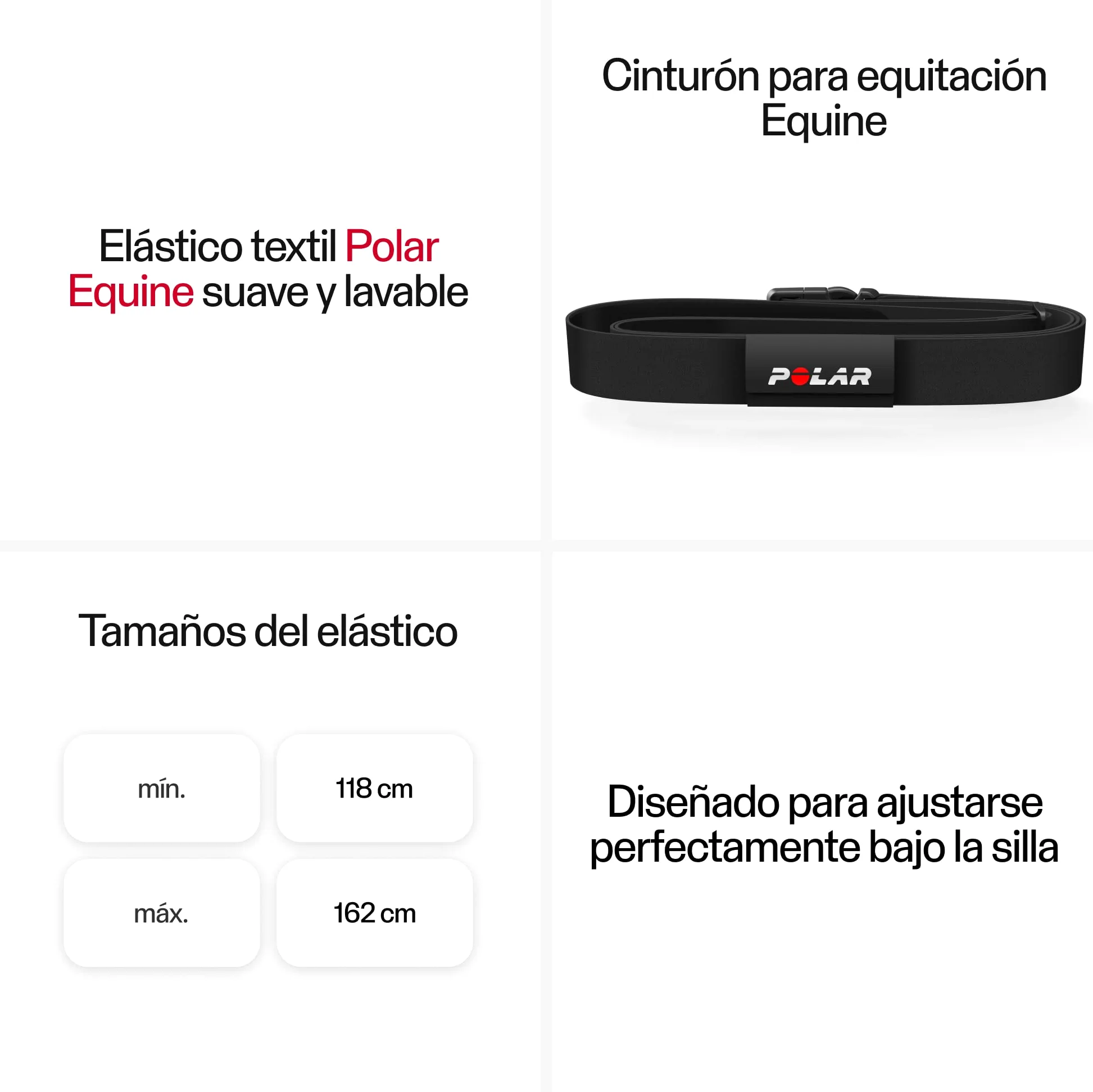 Polar H10 Equine - Sensor de Frecuencia Cardíaca para Caballos – Monitorización Avanzada para Equitación y Trote
