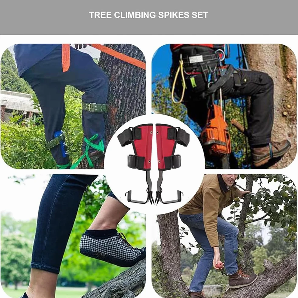 Picos para trepar árboles,Equipo para trepar árboles,Zapatos para trepar árboles,2 Claw,Placa de Suelo Gruesa,Tacos para árboles de Acero Duro,con Correas y Guantes,100KGde Carga,para trepar árboles