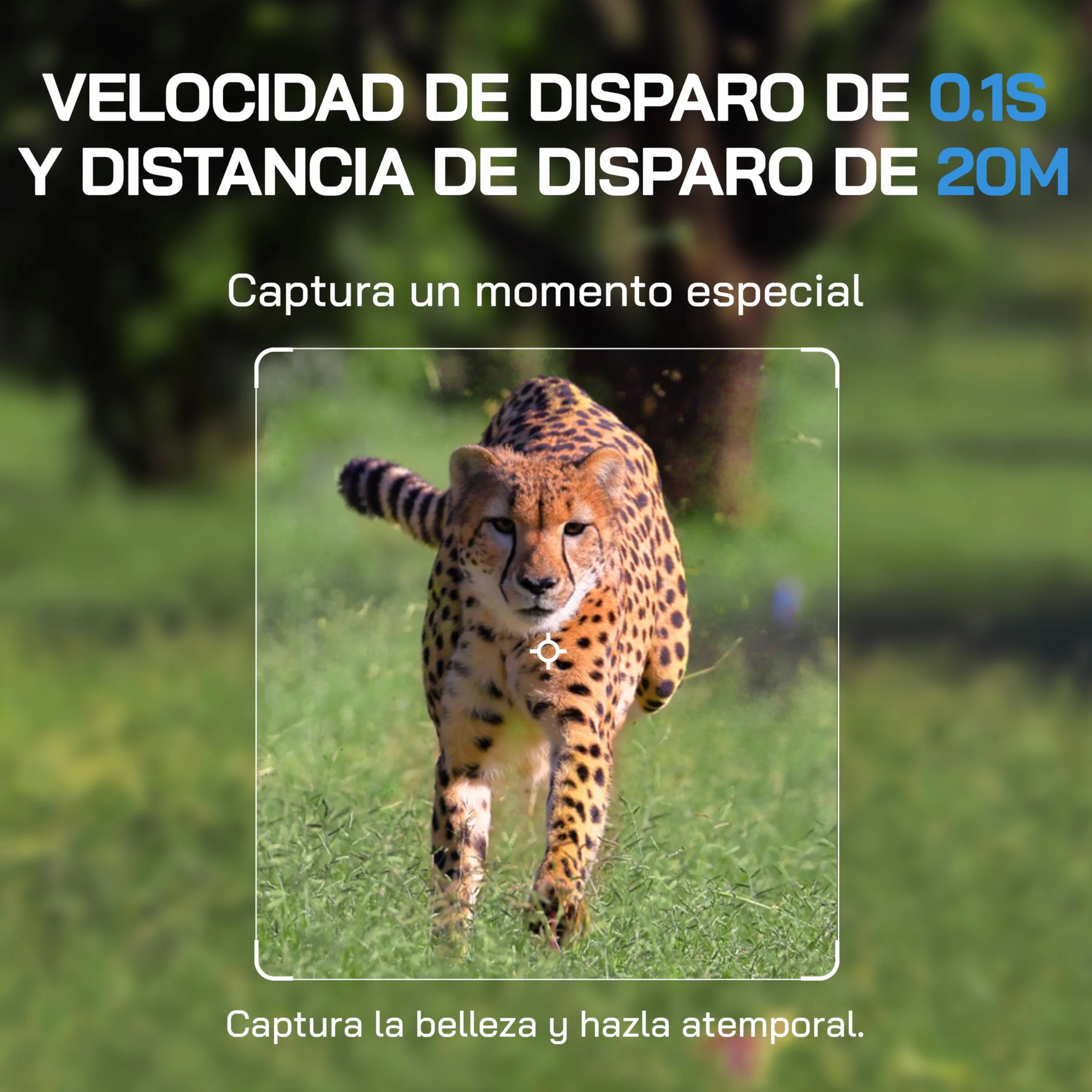 WOLFANG Cámara de Caza WiFi 4K 64MP, Camara Fototrampeo con 0.1s Velocidad de Disparo, Visión Nocturna, Diseño de Temporizadorn, IP66 para Vida Silvestre y Monitoreo de Seguridad