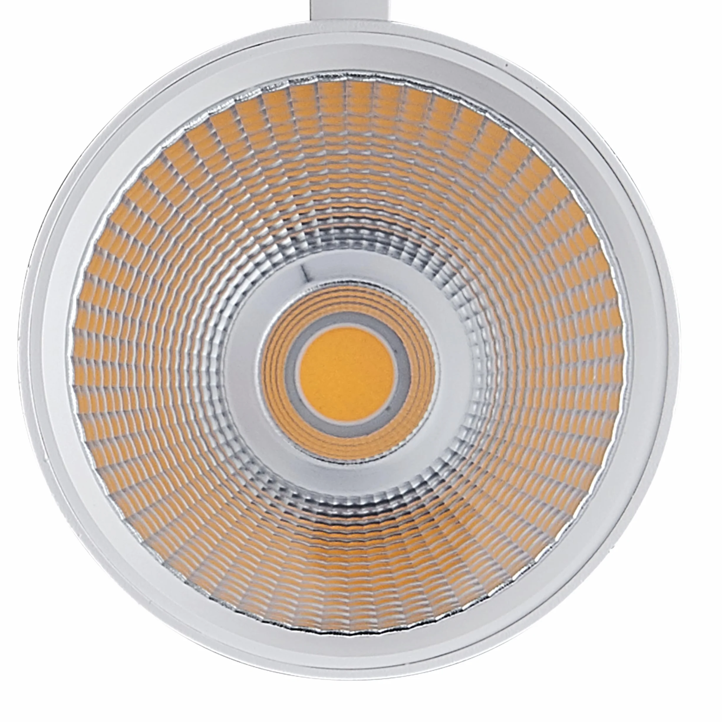 Foco de riel LED 30W Trifásico 4000K 2800lm Aluminio