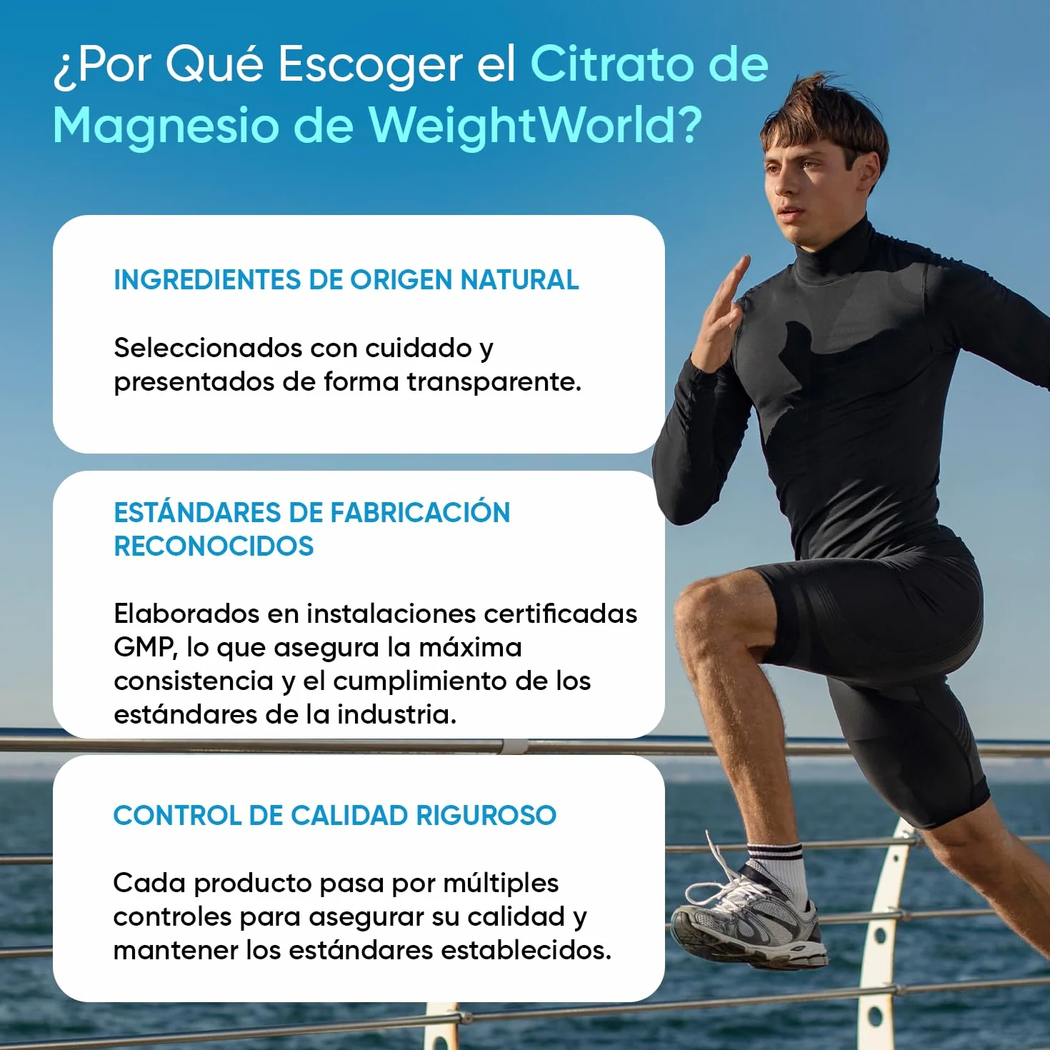 Citrato de Magnesio 240 Cápsulas Veganas 444mg Magnesio Puro 1480mg Citrato Sin Gluten