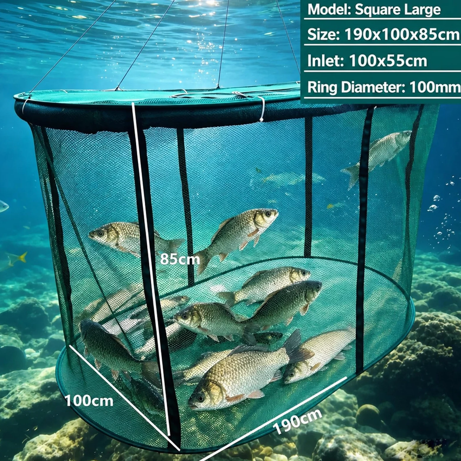 Jaulas de Red para acuicultura en estanques, Gran Resistencia | Flotantes y plegables, malla de 3 mm de grosor, ideales para la cría en estanques y la pesca deportiva