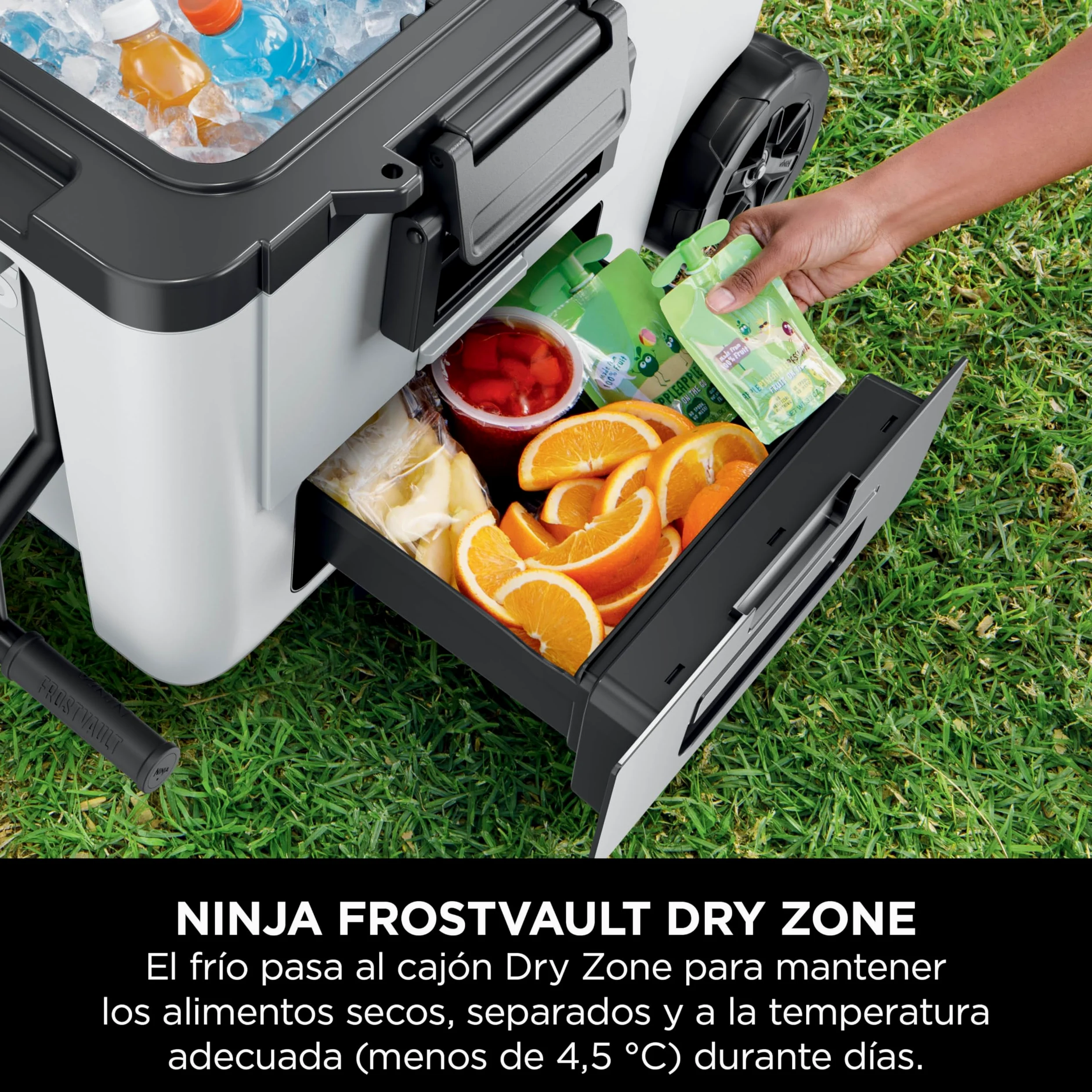 Ninja FrostVault, Nevera Portátil Rígida, Blanco Nube, FB245EUWH | Con Ruedas y Cajón Dry Zone Integrado a Temperatura de Frigorífico, Mantiene el Hielo durante Días, Capacidad para 68 Latas