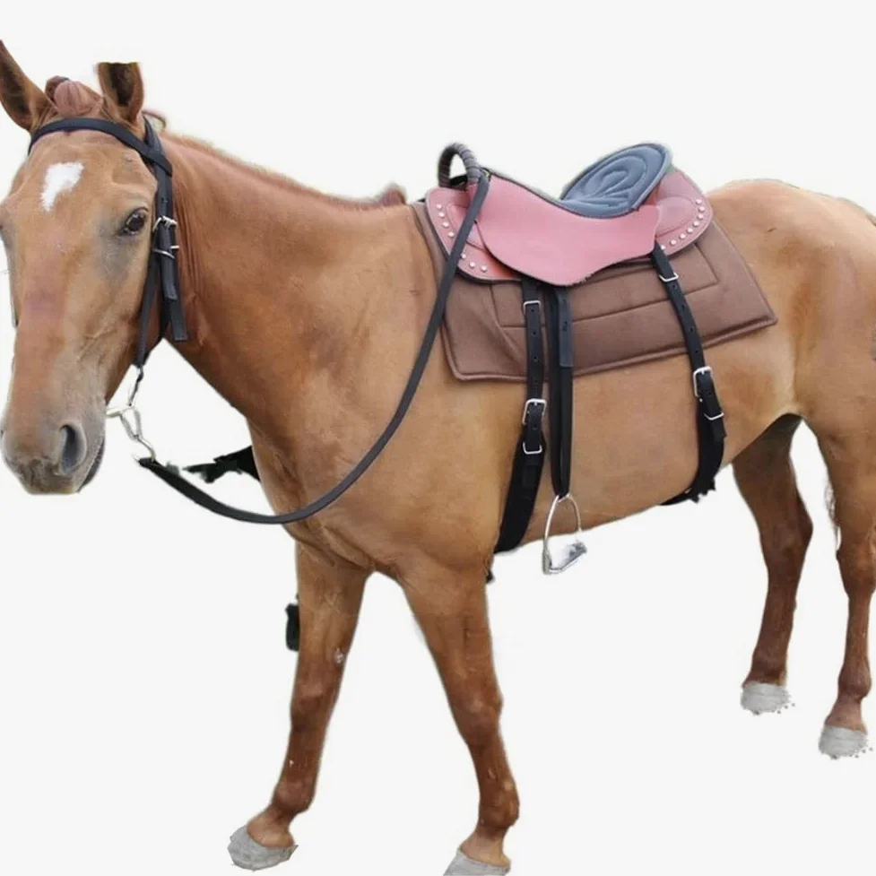 Conjunto de Silla de Montar Ecuestre Protector de Espalda Chaleco de Entrenamiento de equitación Protector de Espalda Equitación con amortiguación Deportiva Acolchado para niños y Adultos Sillines de