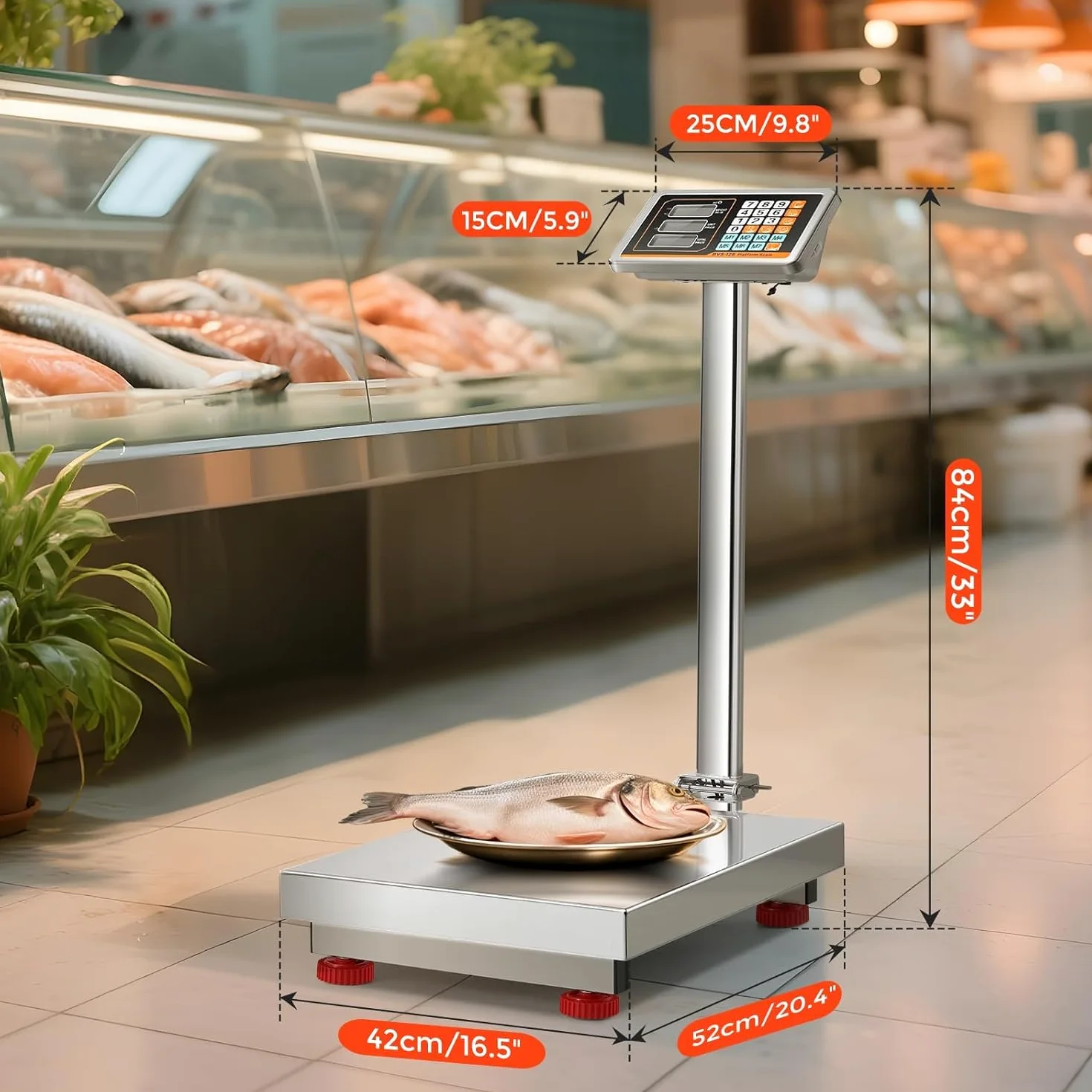 Bonvoisin Báscula de Plataforma Industrial 300kg/0,1kg, Plato Inox 52x42cm | Alimentación por Red/Batería, Báscula Suelo Resistente al Agua para Paquetes, Equipajes y Cartones