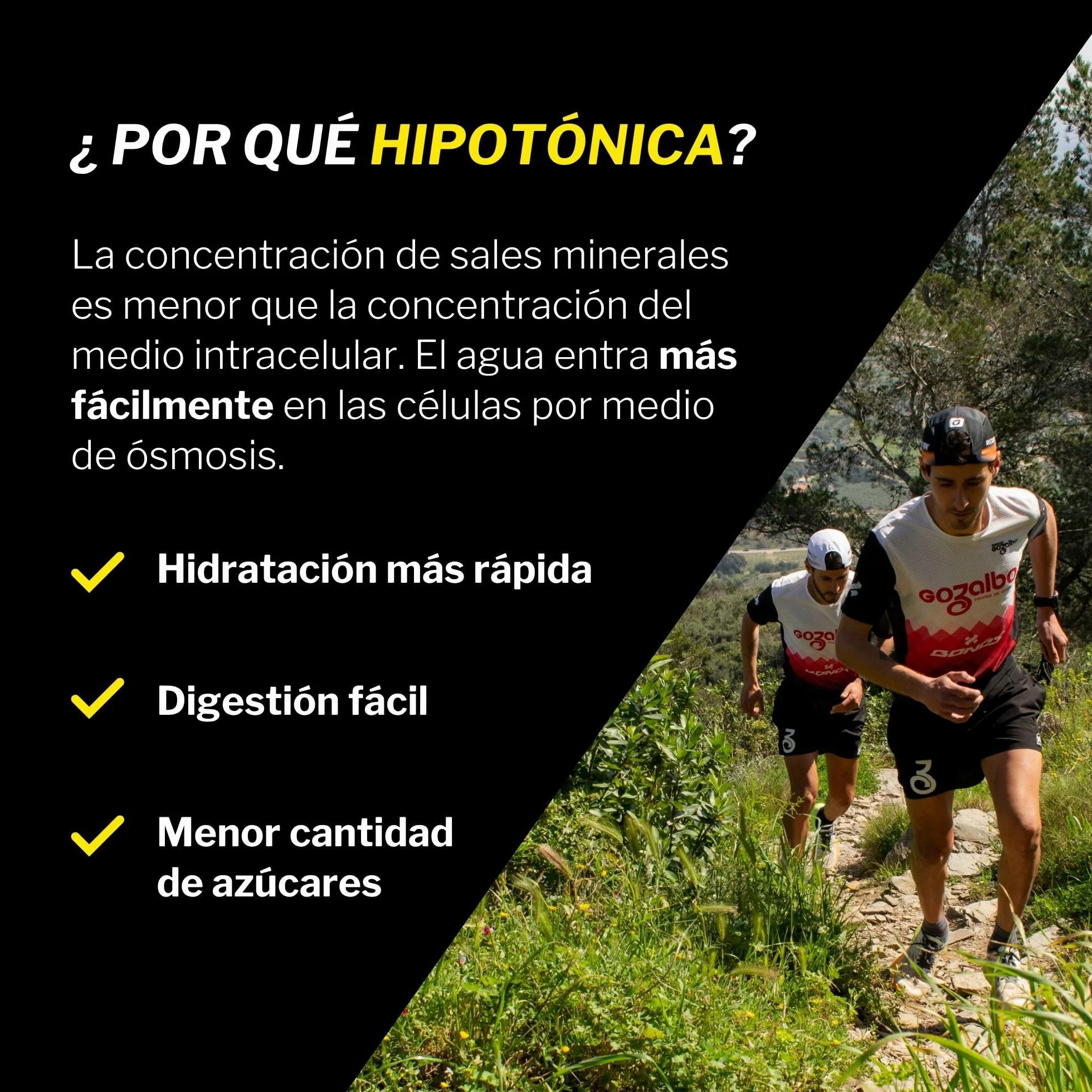 RECUPERATION Bebida Hipotónica en Polvo con Electrolitos Sabor Naranja Pack 20 Sobres
