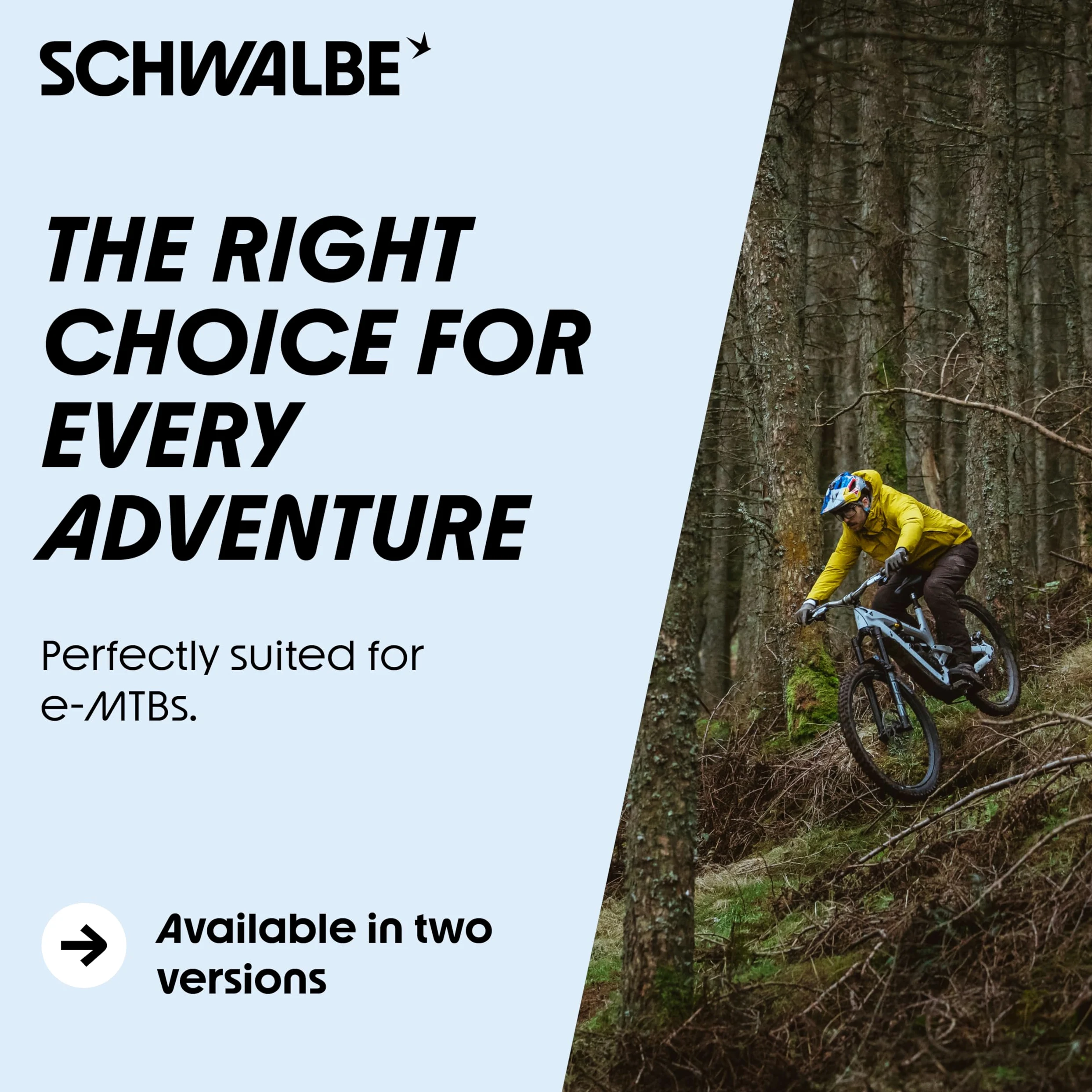 Schwalbe Shredda TLR - Neumático Plegable Trasero