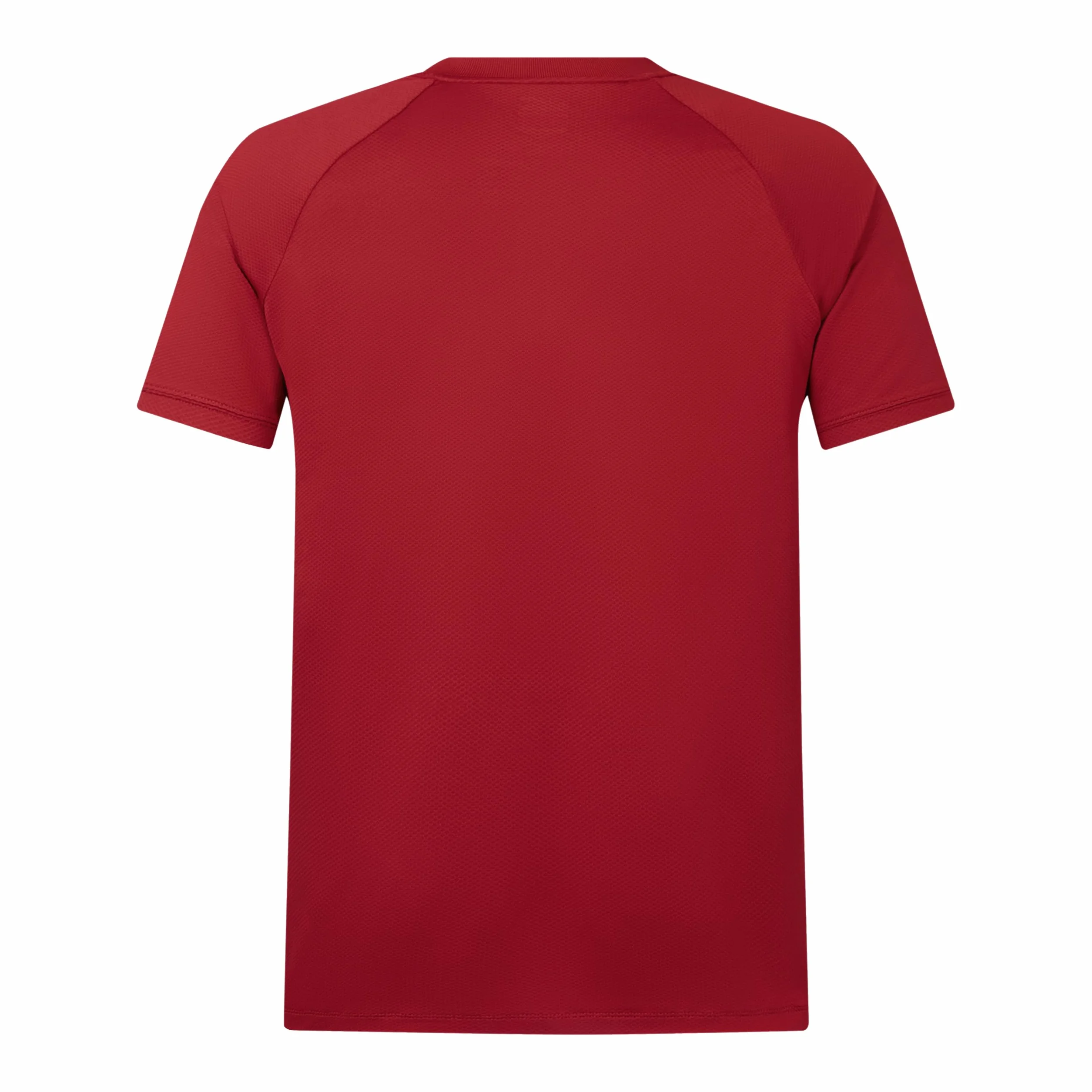 Canterbury British & Irish Lions Canterbury Polo Shirt | Breathable | Moisture Wicking | Official British & Irish Lions Licensed Product Camisa Hombre (Pack de 1)