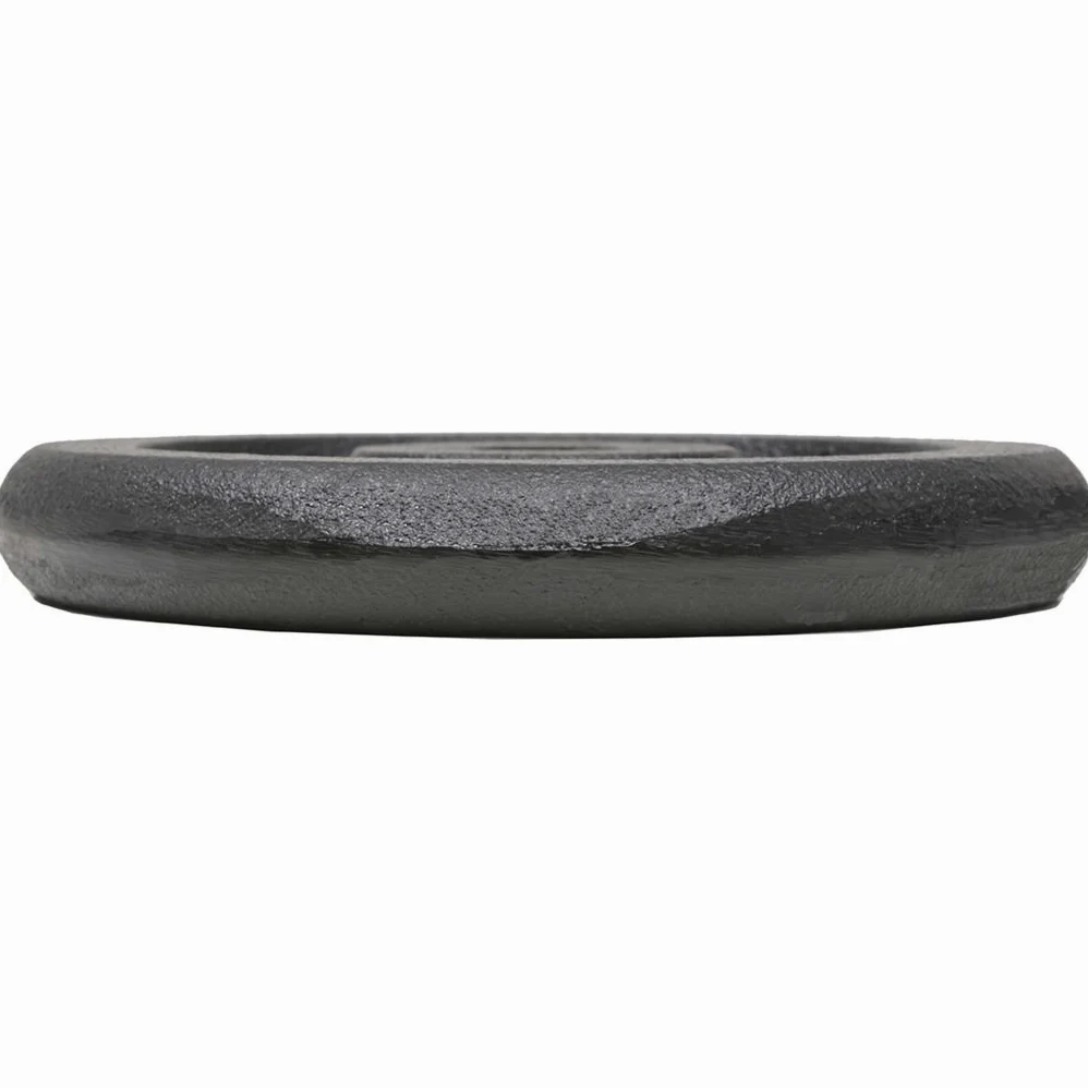 Juego de 4 Discos de Pesas de 5 kg, Hierro Fundido con Recubrimiento en Polvo, Diámetro 21 cm, Agujero 30 mm, para Barra de Pesas y Mancuernas, Ideal para Gimnasio en Casa