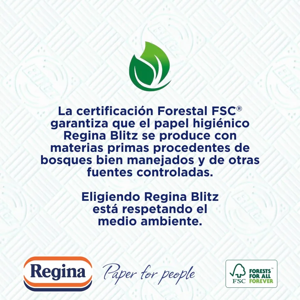 Regina Blitz Papel de Cocina 5 Rollos 100 Maxi-Hojas 3 Capas Sin Pelusas