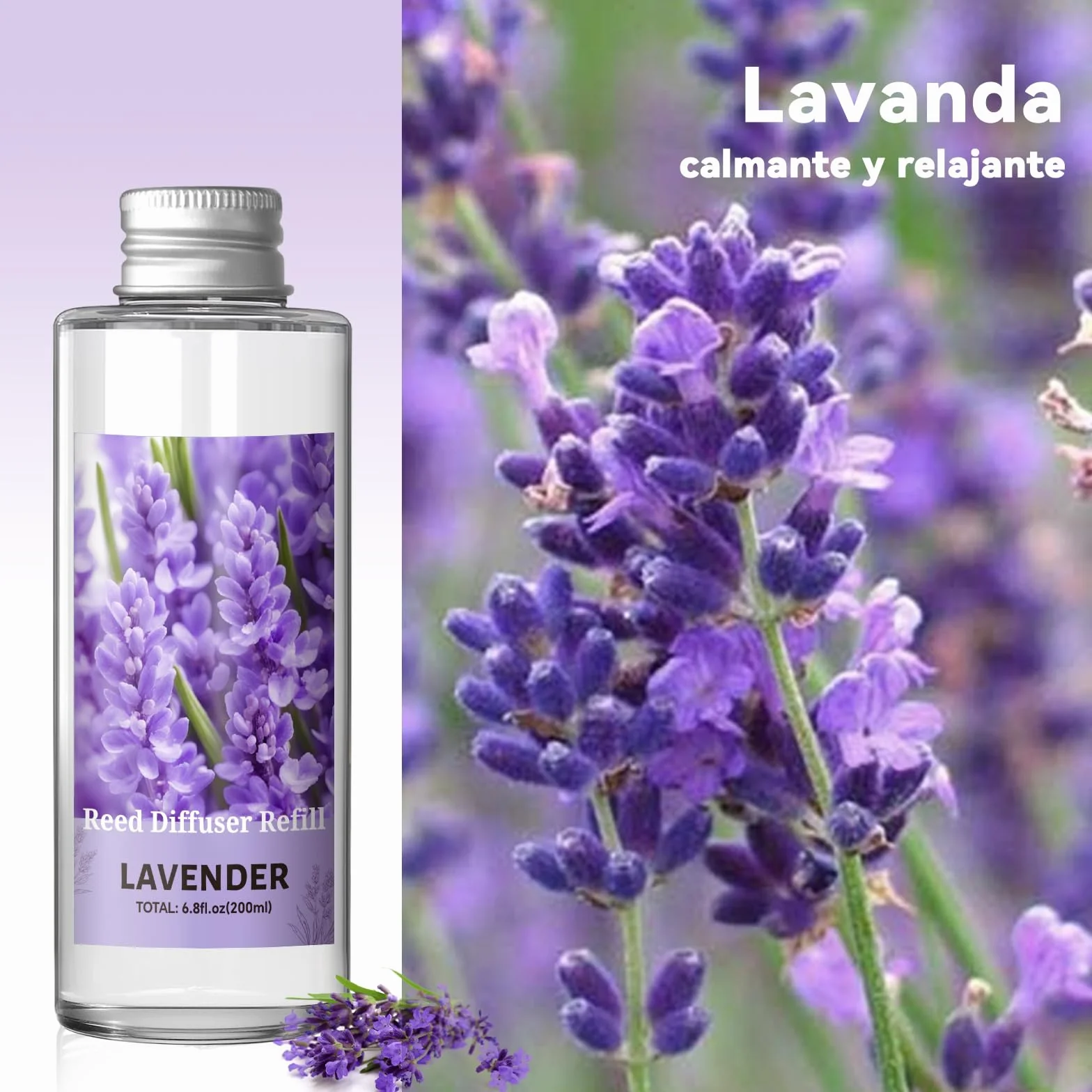 SCENTORINI Difusor de Fragancia Lavanda 200ML Recambio Aceite Esencia Ambientador Hogar