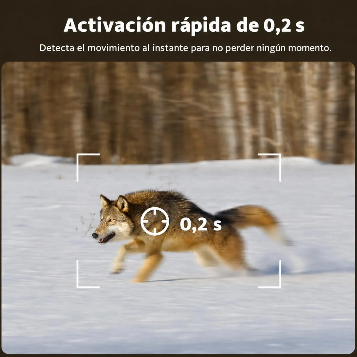 4G LTE Cámara de Caza Solar con Tarjeta SIM, Cámara Fototrampeo sin WiFi, 10400 mAh Batería, Visión Nocturna 950nm Infrarrojos Invisible, Audio de 2 vías, 0,2s Activación, IP66 Impermeable