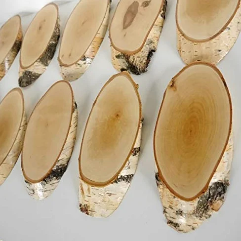 10 carteles de madera de abedul para trofeos con cornamenta, cornamenta, disco de árbol, cartel de madera natural, moderno con compartimento de pino