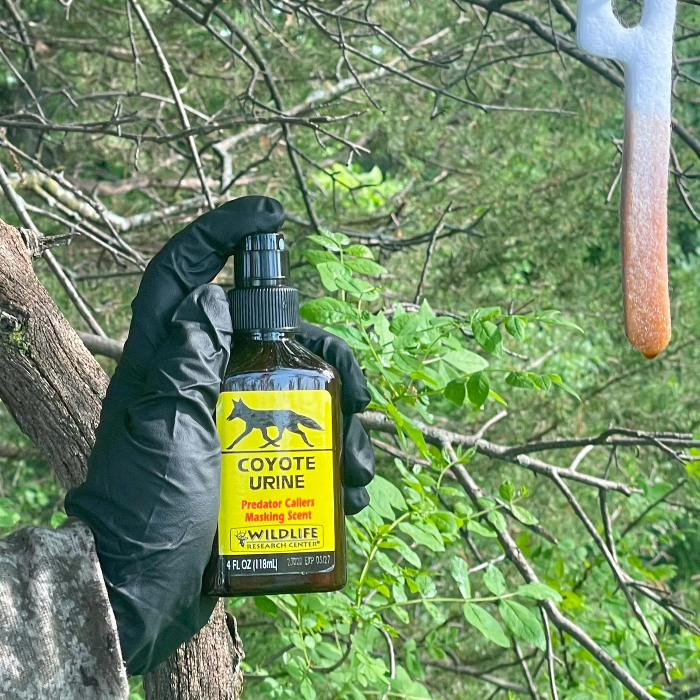 WILDLIFE RESEARCH CENTER Coyote Orine Predator Calling - Aroma de enmascaramiento para Caza de Coyotes