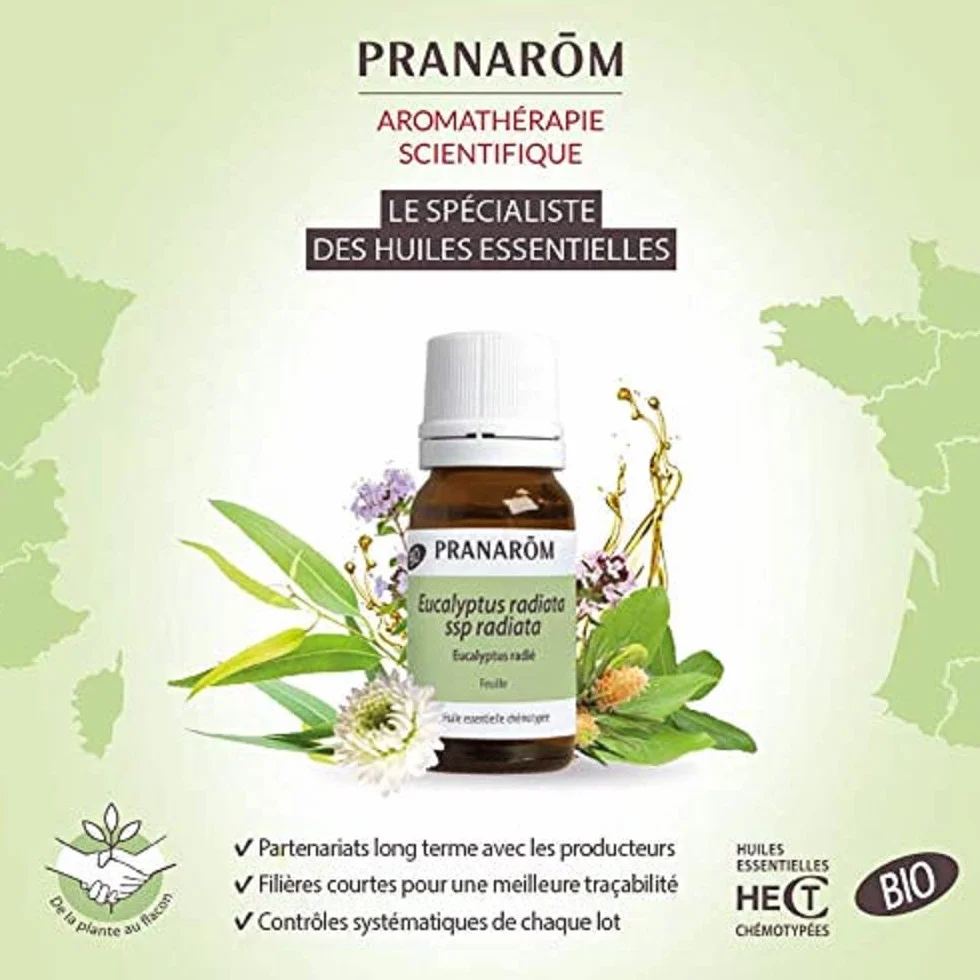 PRANAROM Aceite Esencial Eucalipto Globulus 10ml para Vías Respiratorias