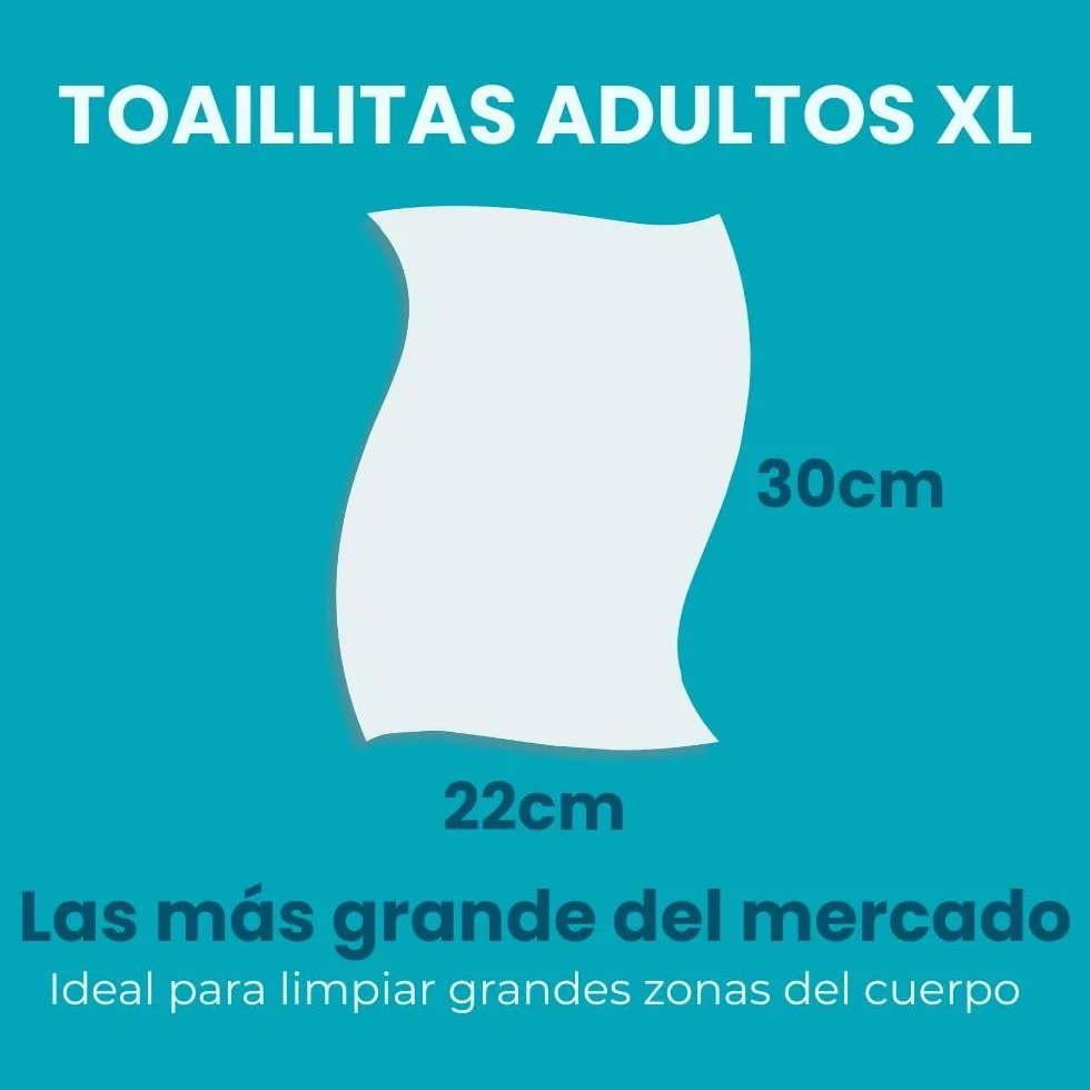 Dailee Toallitas Humedas XL 288 Toallitas Higiene Corporal Adultos 6 Paquetes