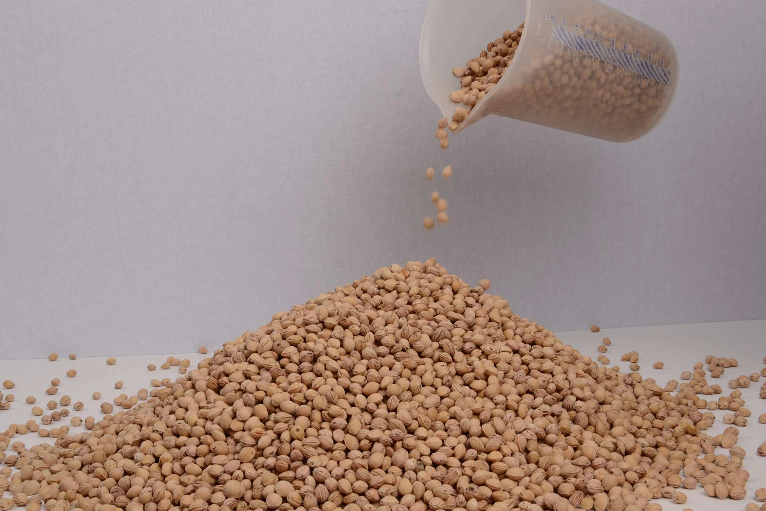 Naturgut Huesos De Cereza Para Cojín De Calor 5kg