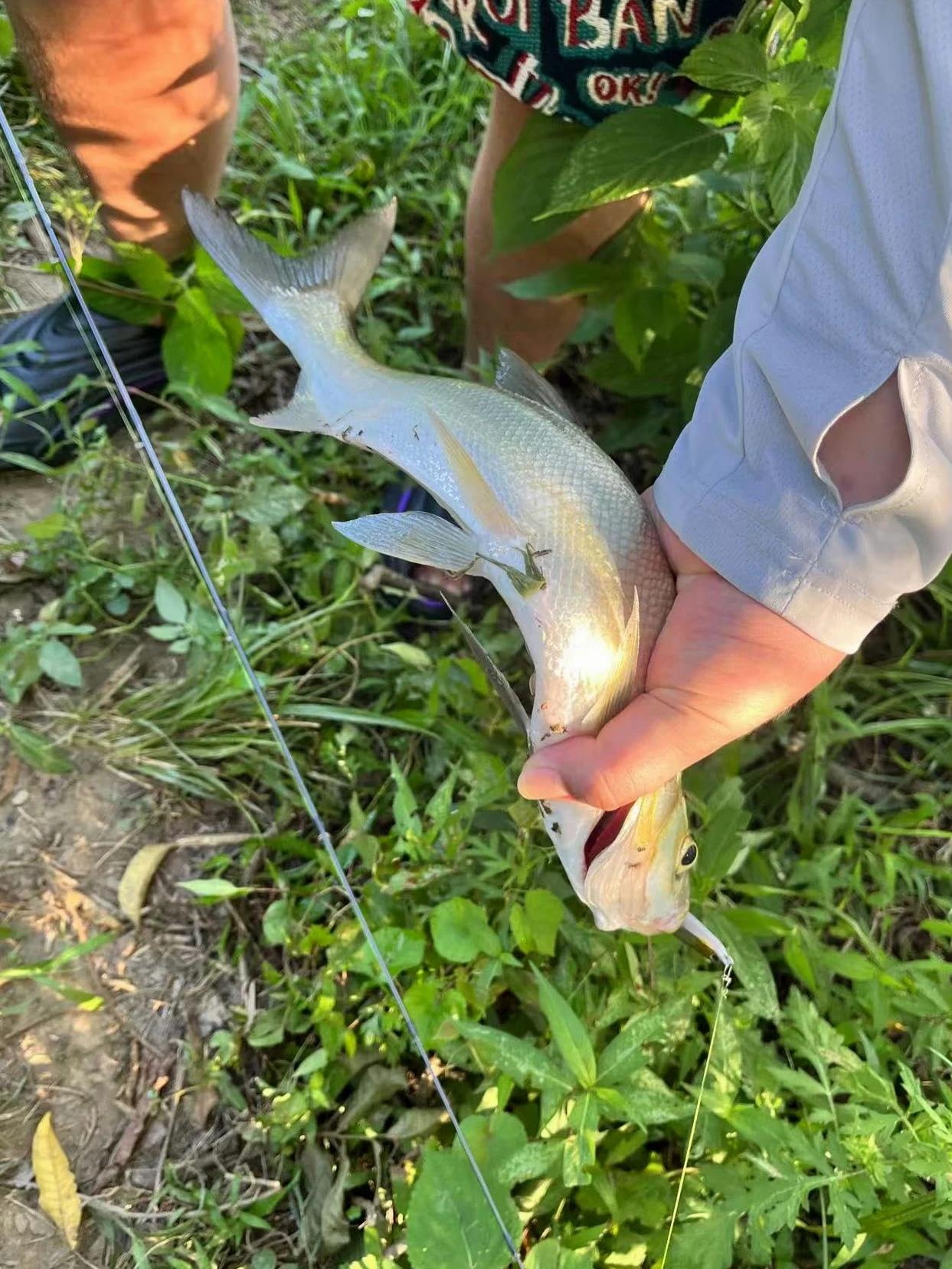 Caja grande de aparejos de pesca de 3 capas con aparejos incluidos, kit de 450 señuelos de pesca, contiene alicates, anzuelos, señuelos, pesos y accesorios, equipo de pesca de lubina de agua dulce