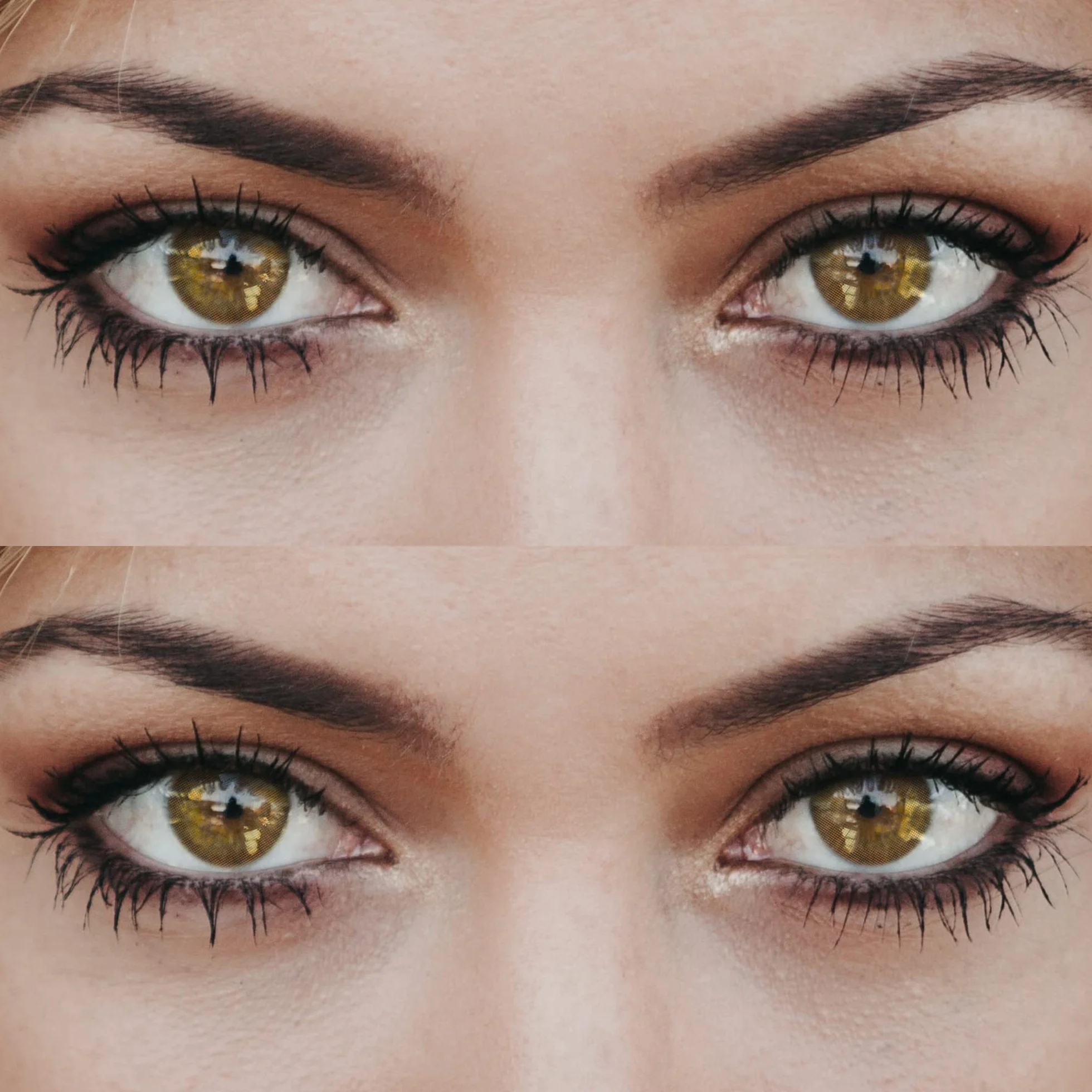 Glamlens Honey Green (Verdie miel) Lentillas de colores sutiles aspecto natural sin graduación 3 meses