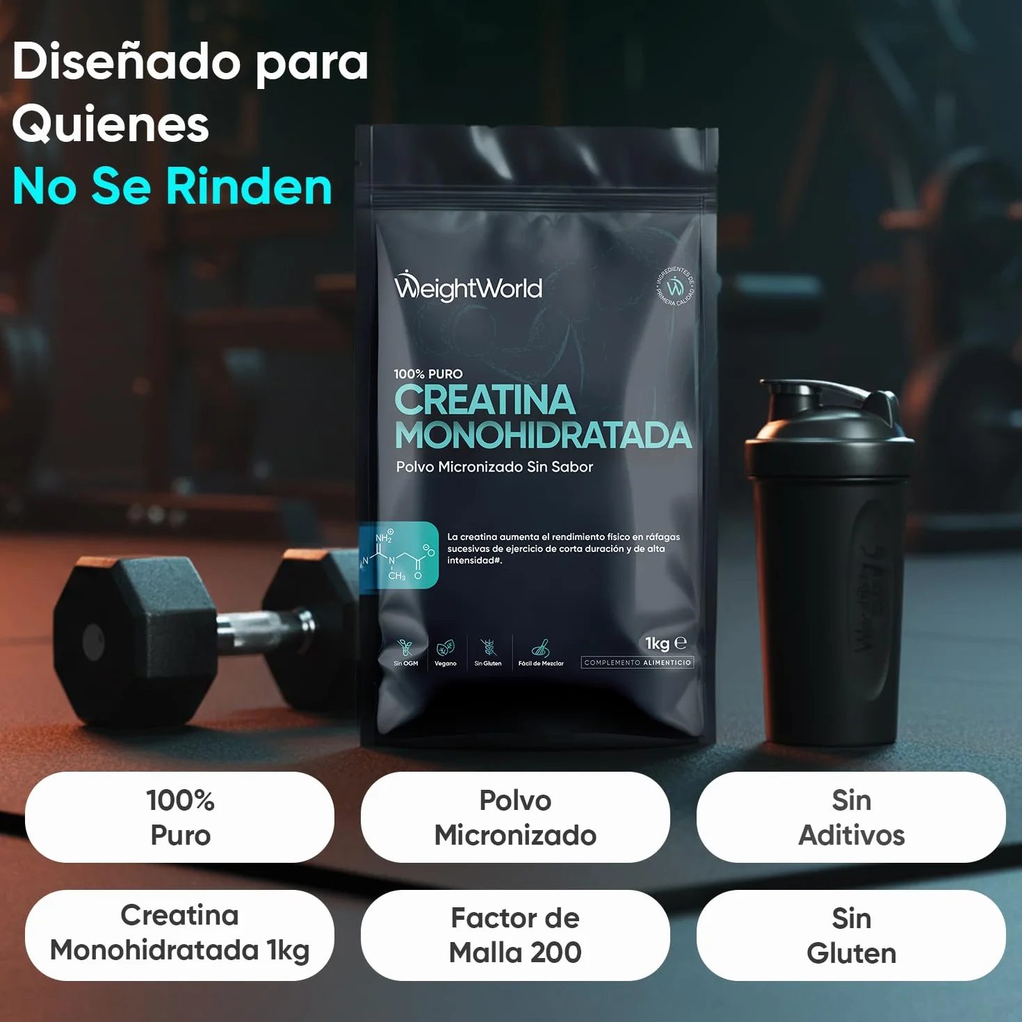 Creatina Monohidratada en Polvo 1kg 100% Puro Malla 200 Micronizada Sin Sabor Vegana