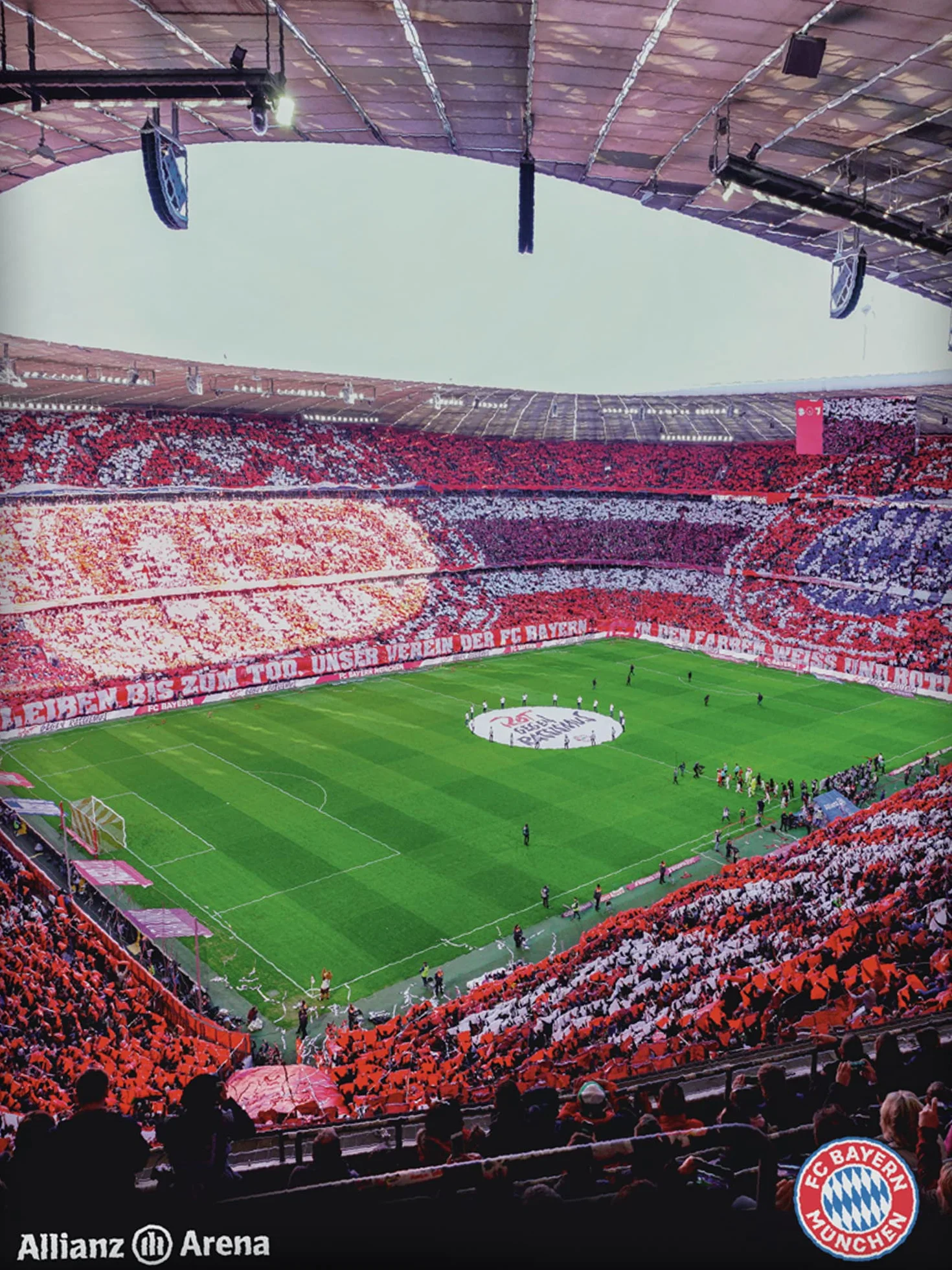 FC Bayern München Ropa de cama Allian