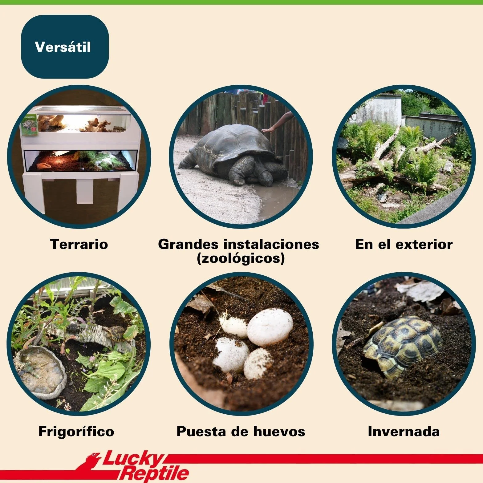 Lucky Reptile Tortoise Bedding 20 Litre