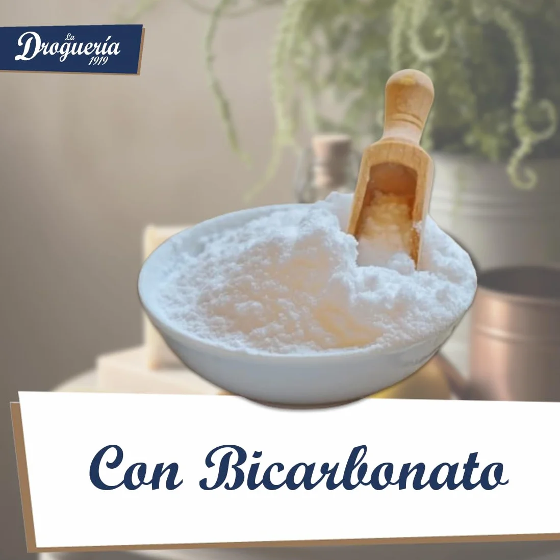 Lavavajillas a Mano Ecológico 500ml 220 Lavados Bicarbonato